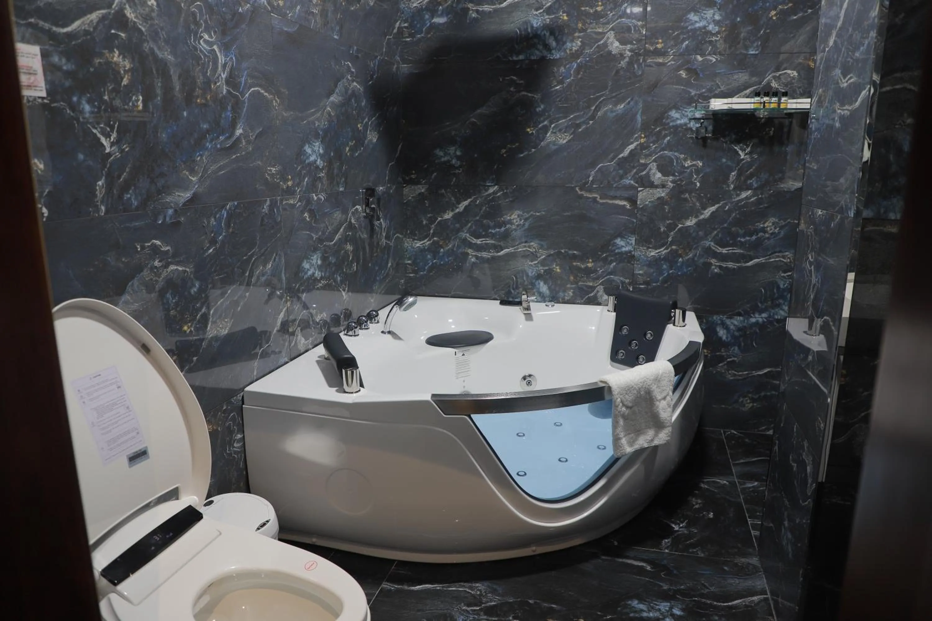 Toilet in Golden Samarkand Hotel