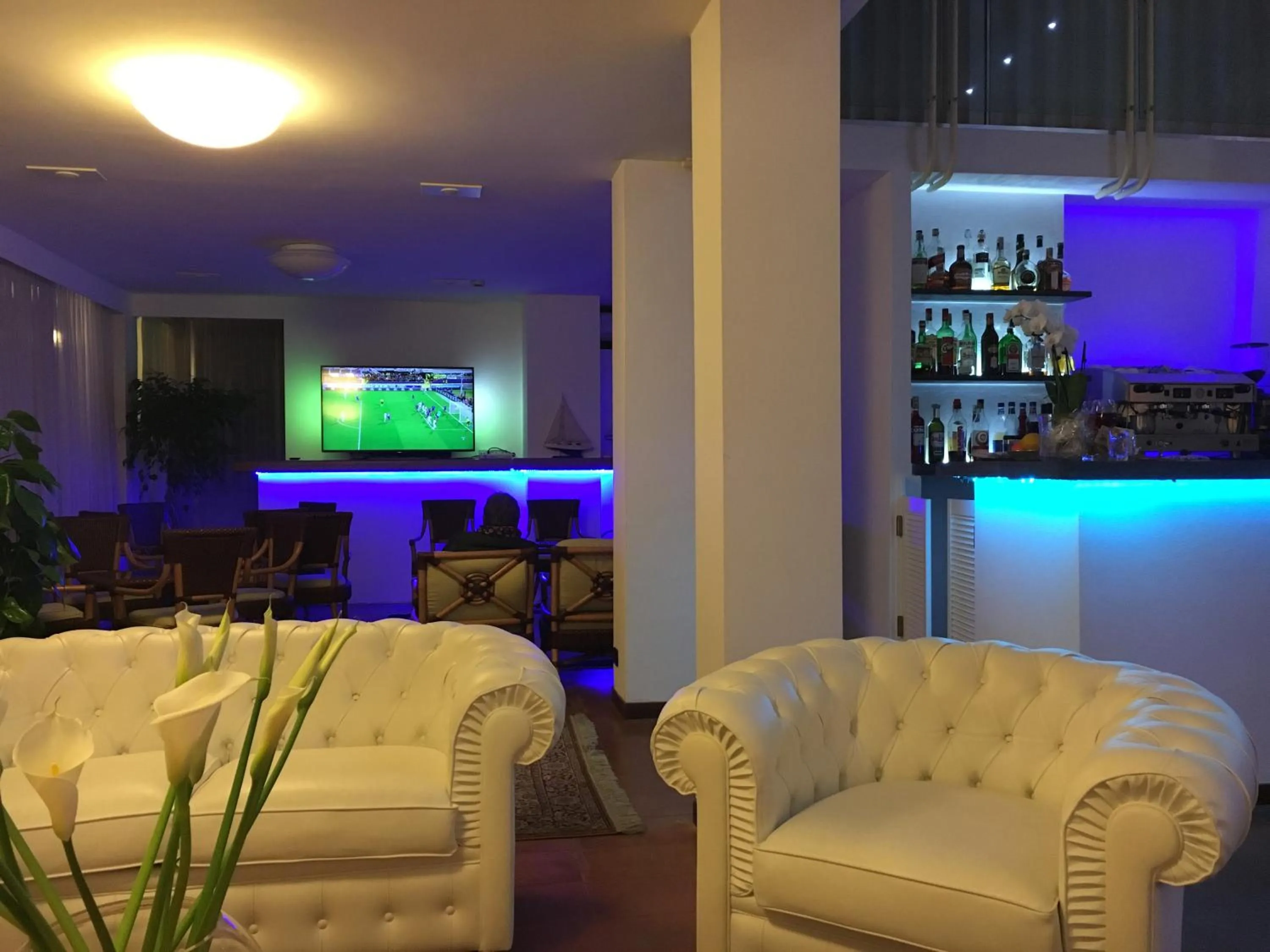 Communal lounge/ TV room in Raffaelli Park Hotel