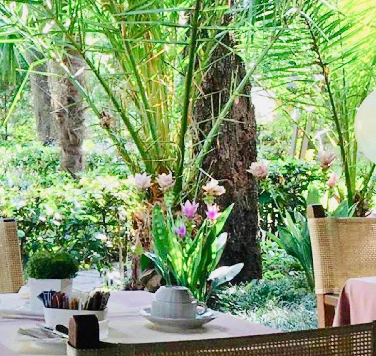 Garden in Raffaelli Park Hotel