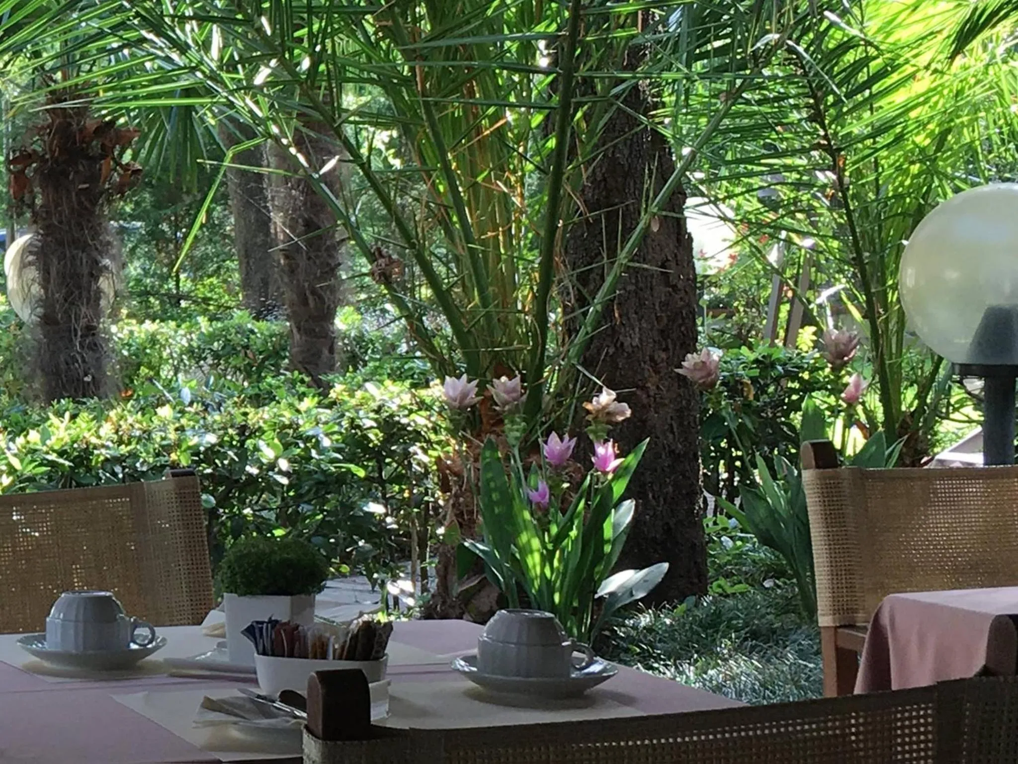 Buffet breakfast in Raffaelli Park Hotel