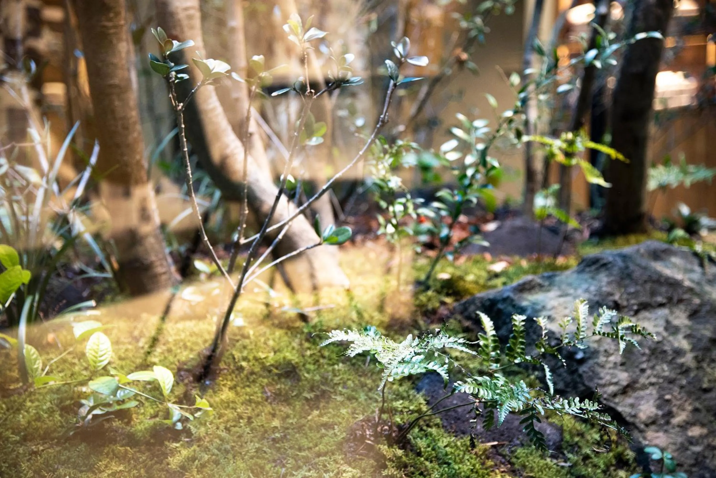 Garden in Prince Smart Inn Kyoto Sanjo