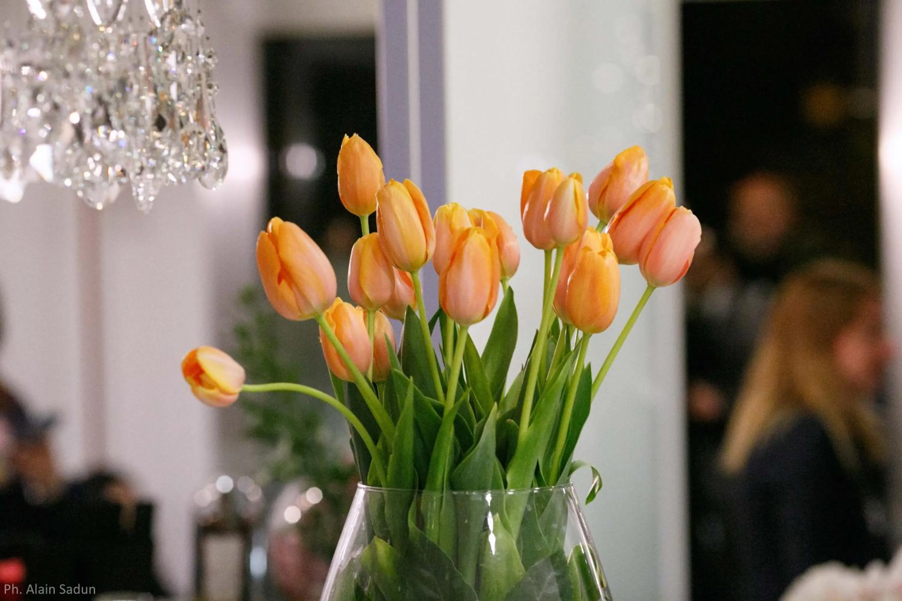 Spring in The One Hotel - Designed for Adults - Pet lovers