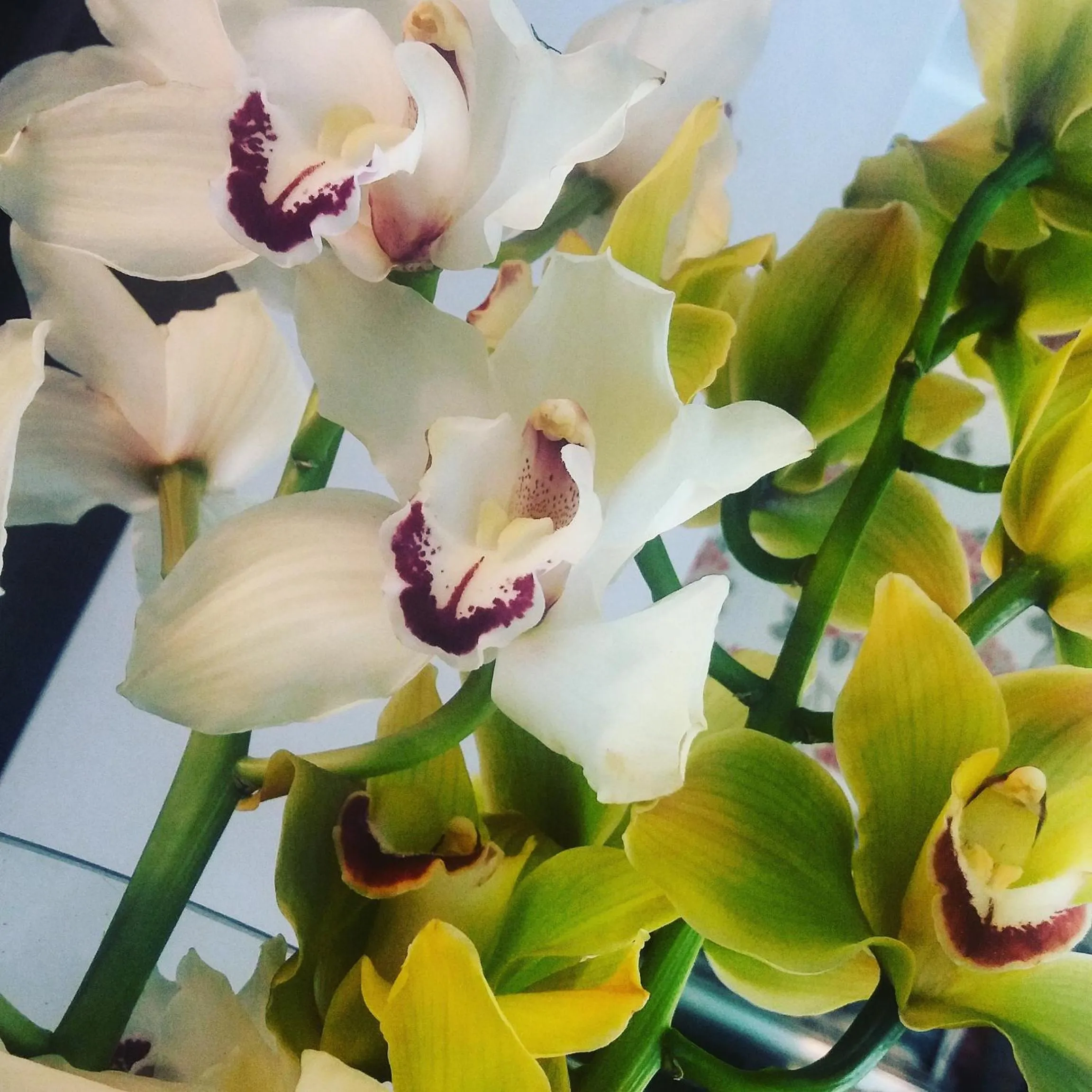 Decorative detail in The One Hotel - Designed for Adults - Pet lovers