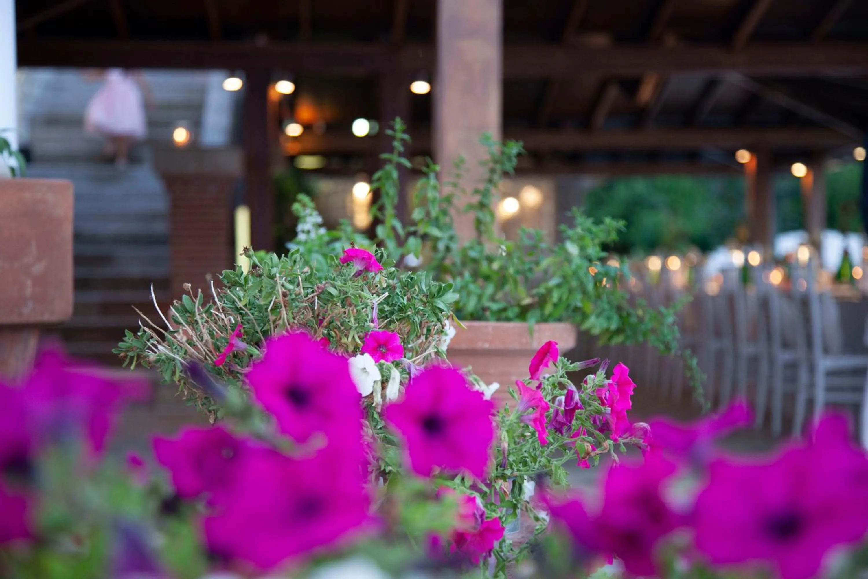 Garden view in Hotel Ristorante Maga Circe