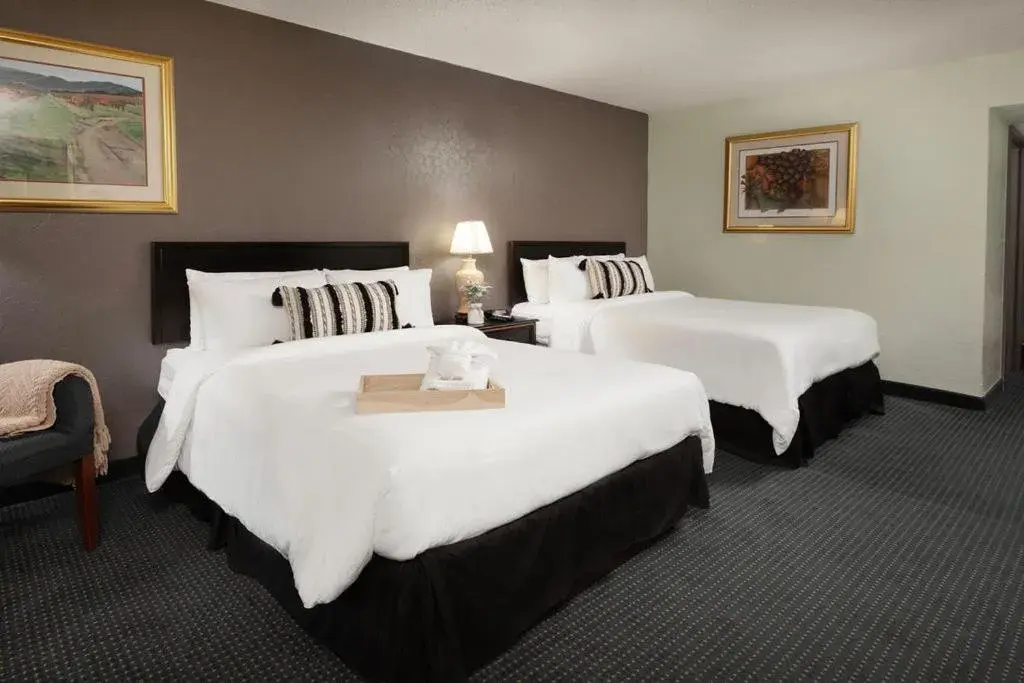 Basic Double in The Westerner - Extended Stay Basic Double in The Westerner - Extended Stay