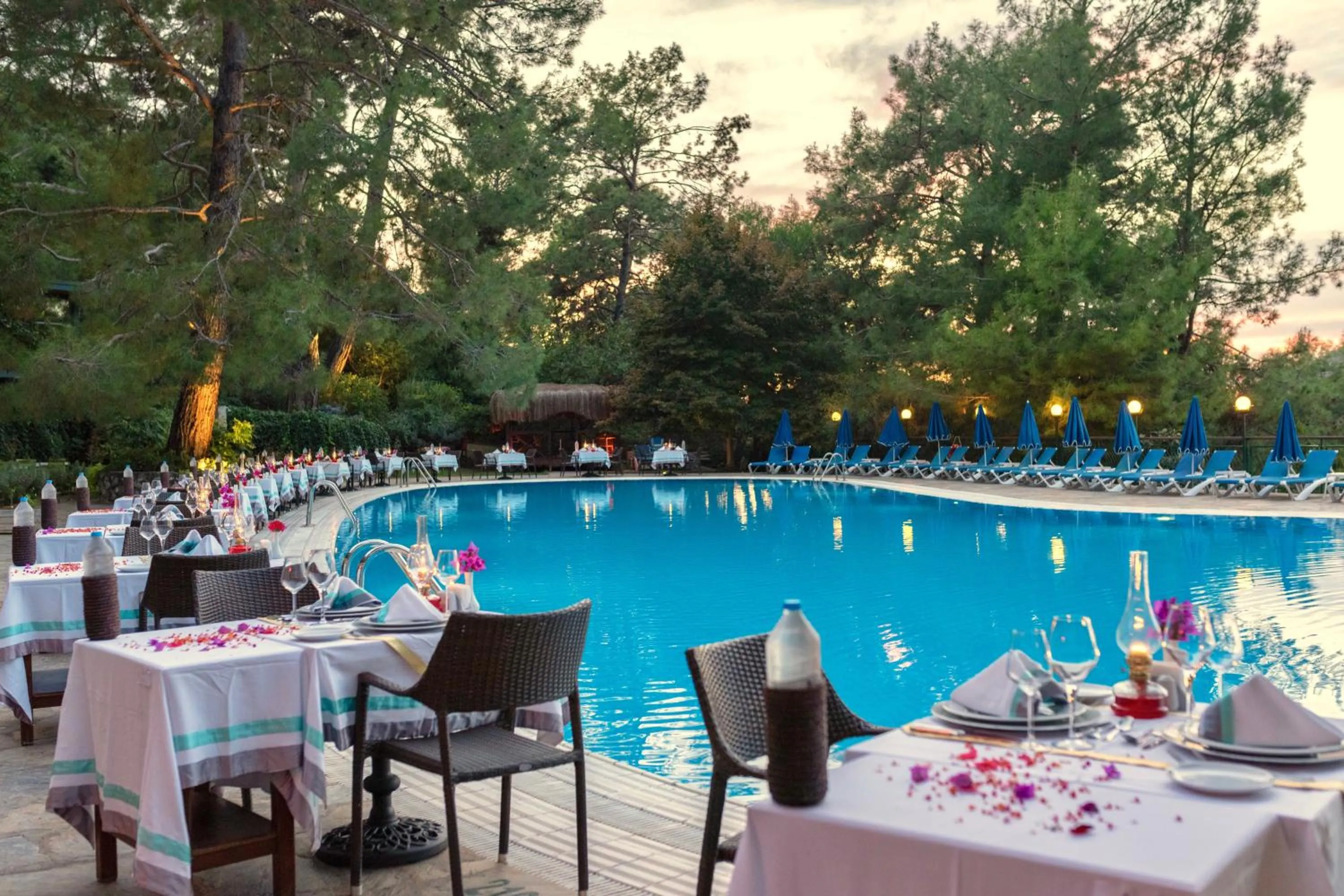 Restaurant/places to eat in Montana Pine Resort - All Inclusive