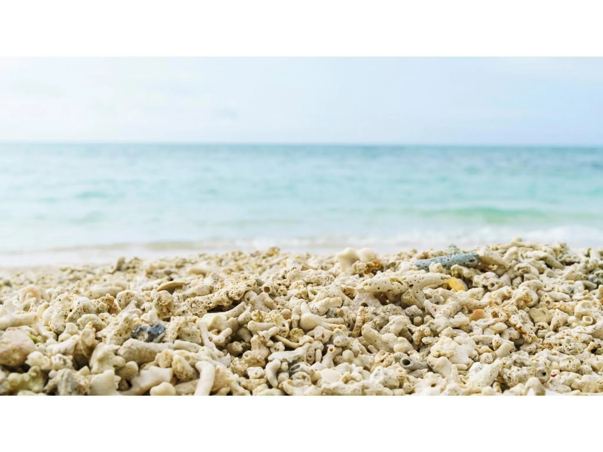 Bears Stay Kumejima Eef Beach - Vacation STAY 85666v