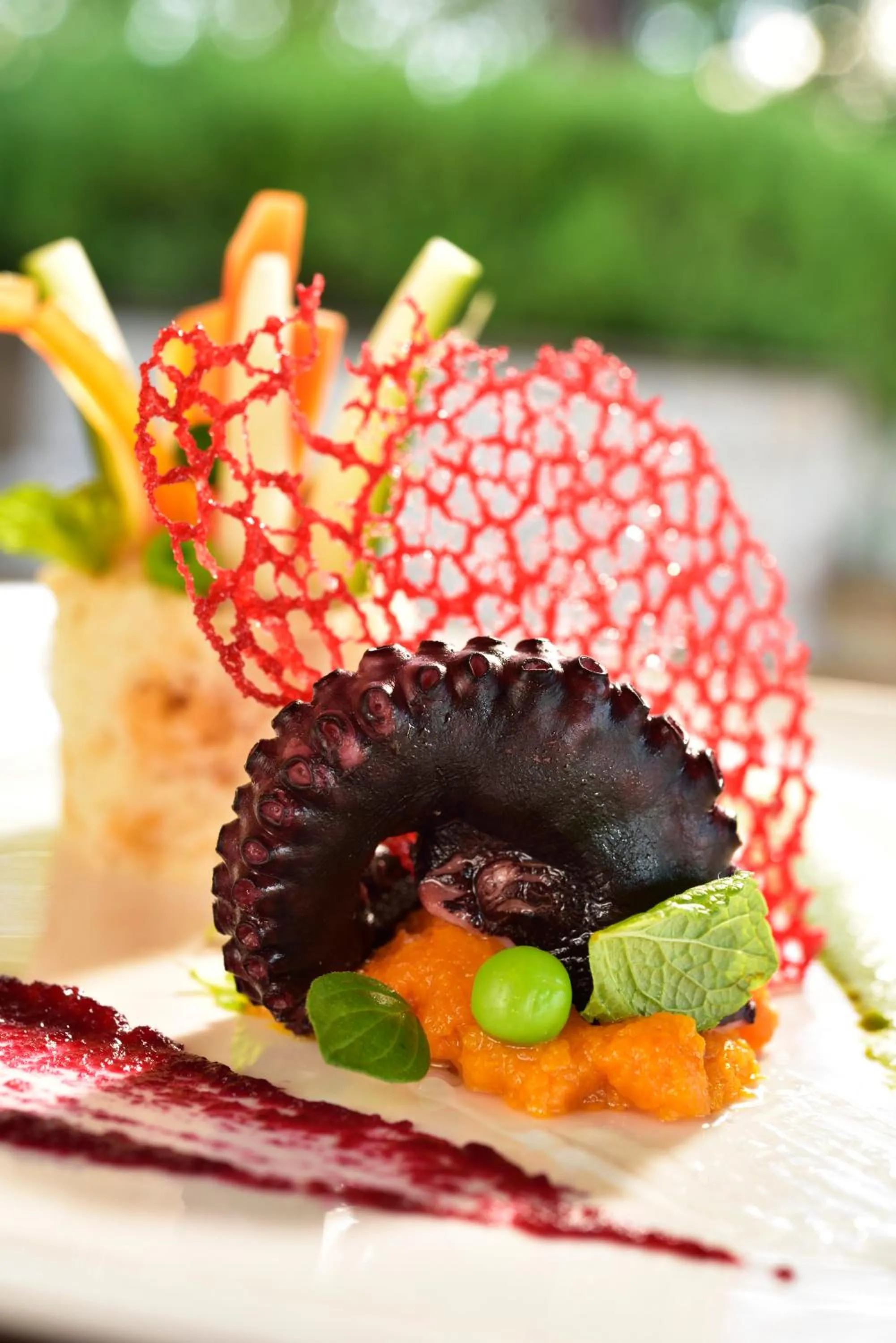 Lunch in Mercure Petriolo Siena Terme Spa Hotel