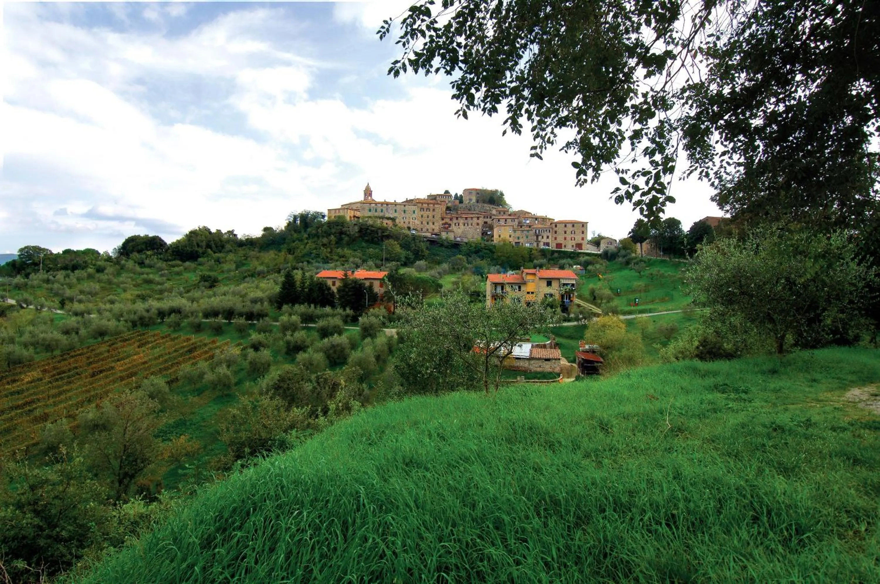 Natural landscape in Mercure Petriolo Siena Terme Spa Hotel