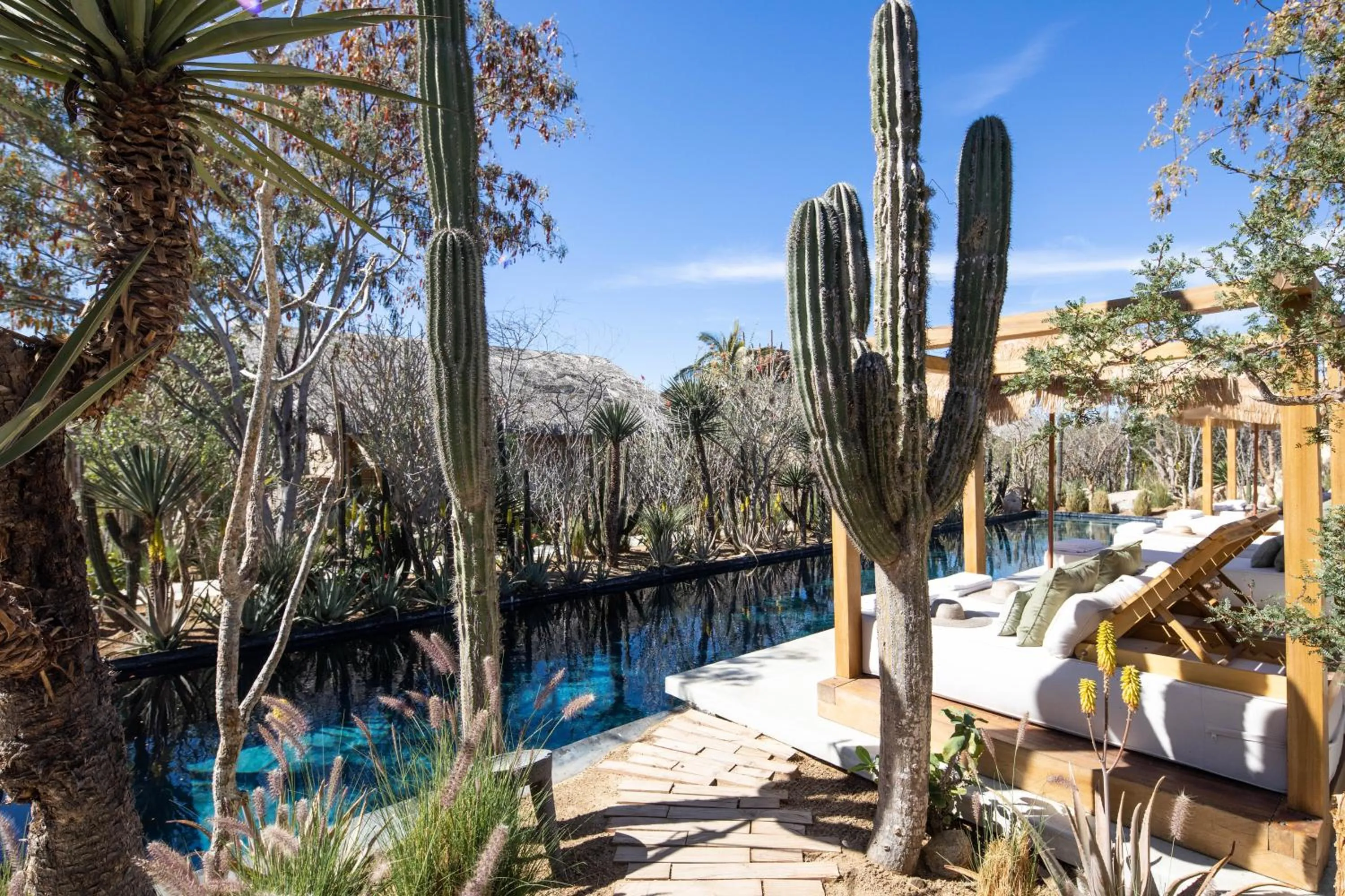 Swimming pool in El Perdido Desert Dream- Todos Santos Adults Only