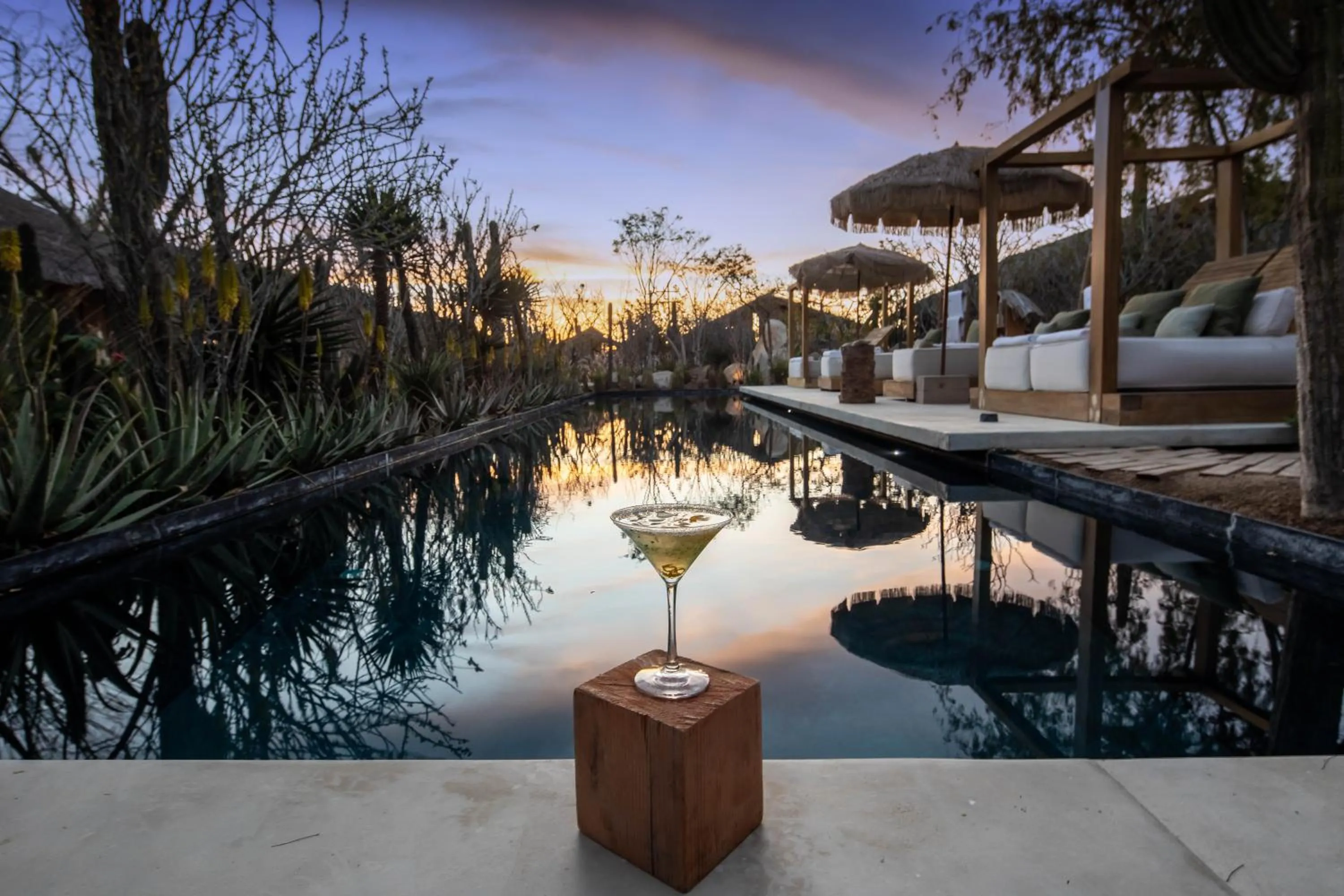 El Perdido Desert Dream- Todos Santos Adults Only