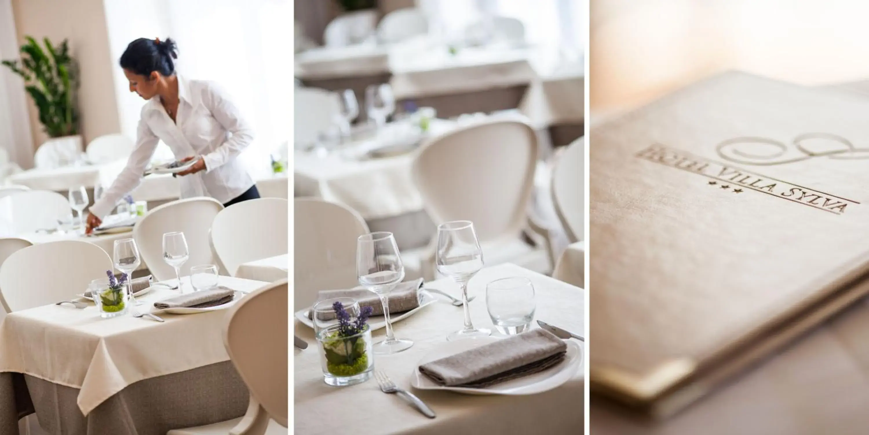 Restaurant/places to eat in Villa Sylva & Spa Restaurant/places to eat in Villa Sylva & Spa