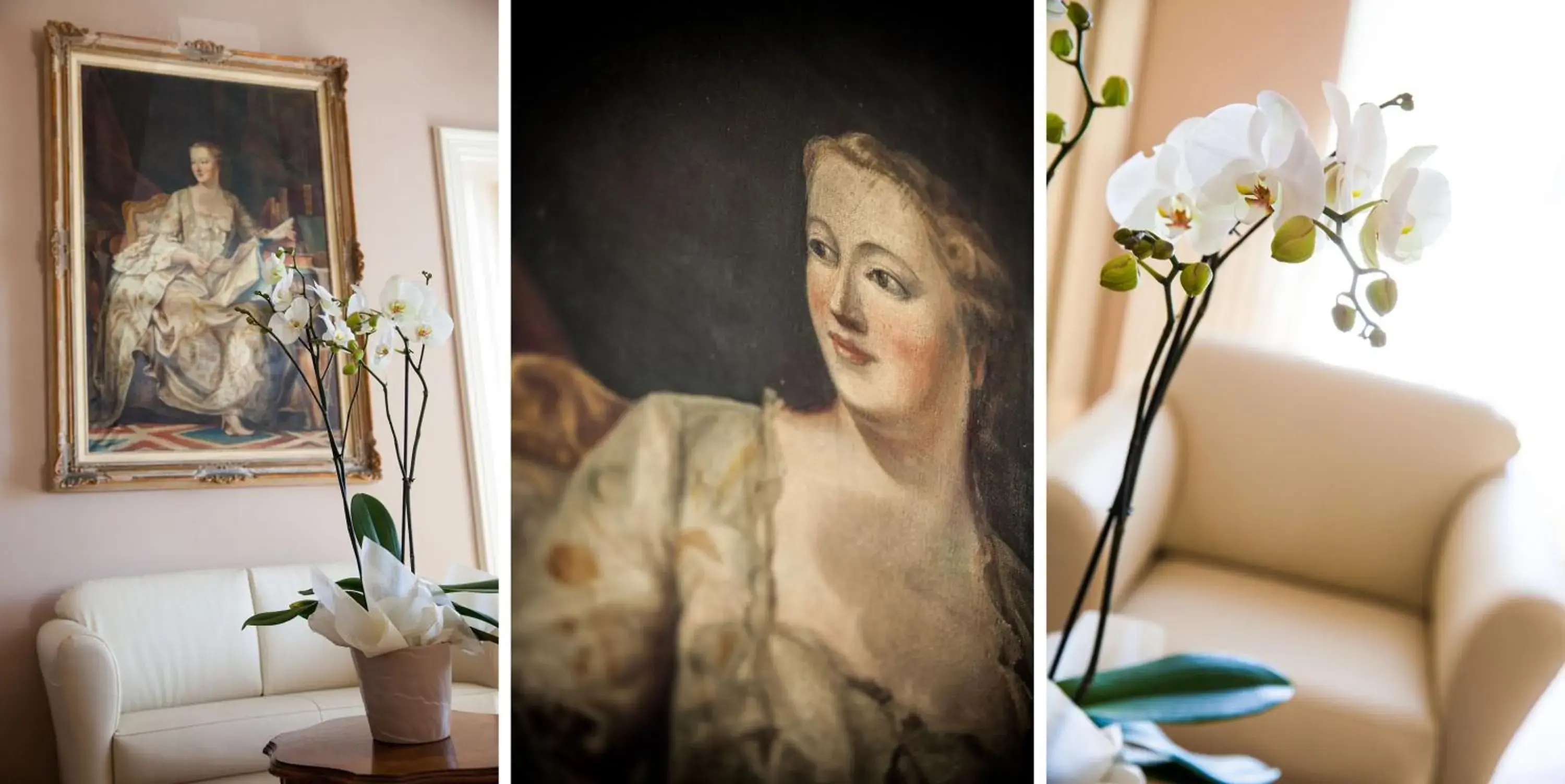 Living room in Villa Sylva & Spa Living room in Villa Sylva & Spa