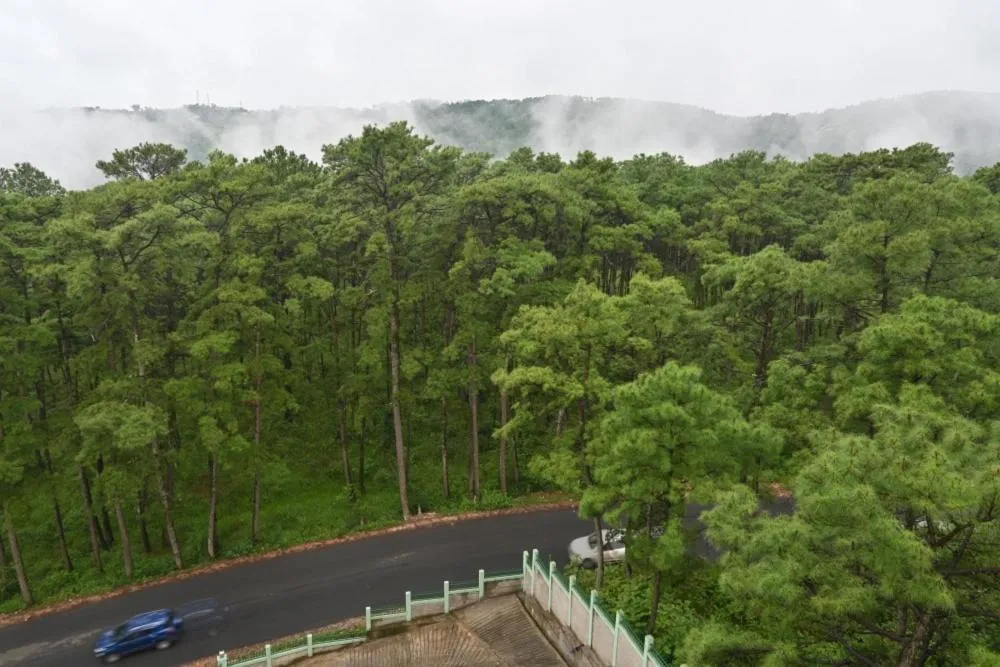 Natural landscape in TreeTops Residency