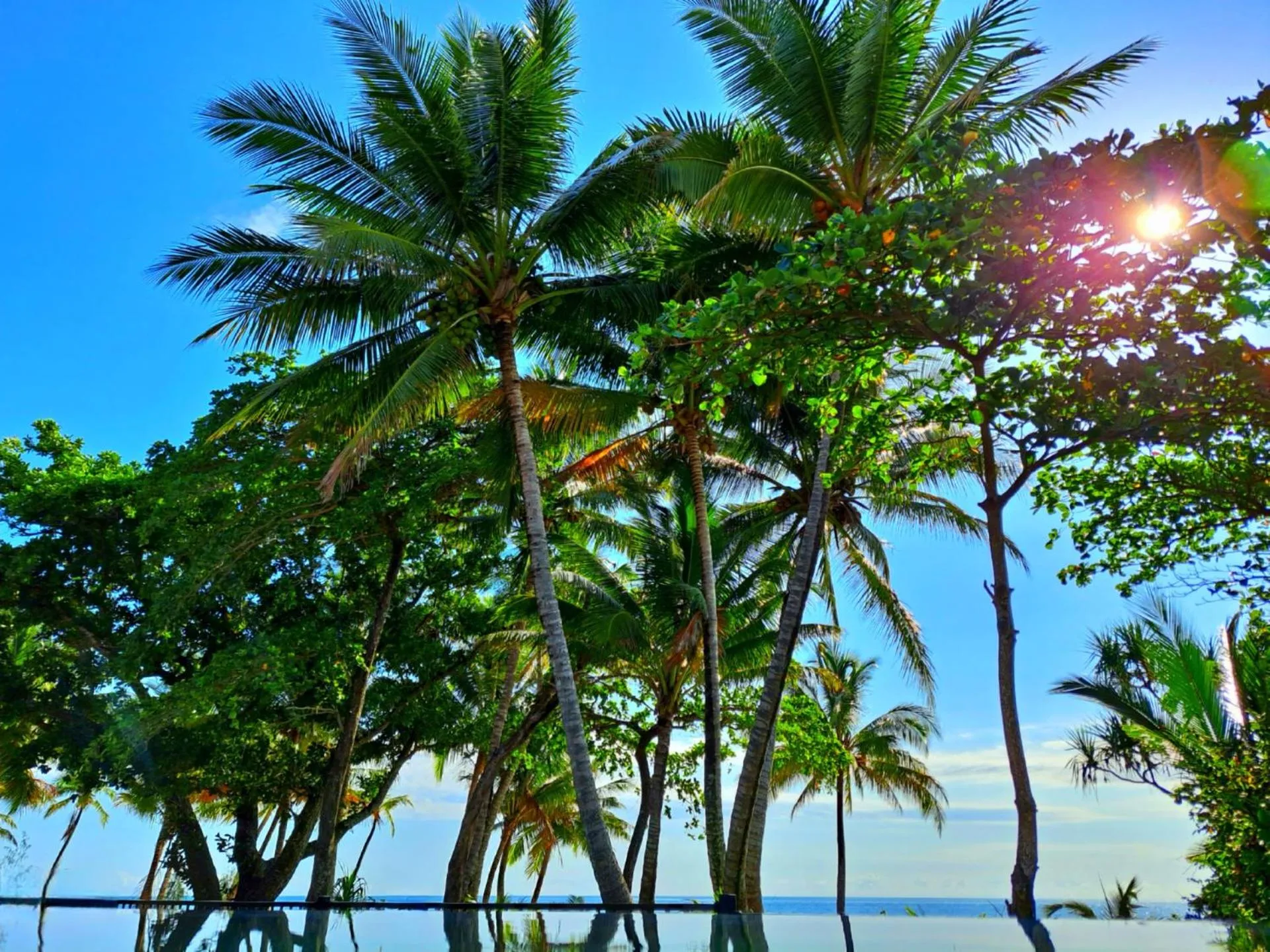 Natural landscape in Seadreams Mission Beach