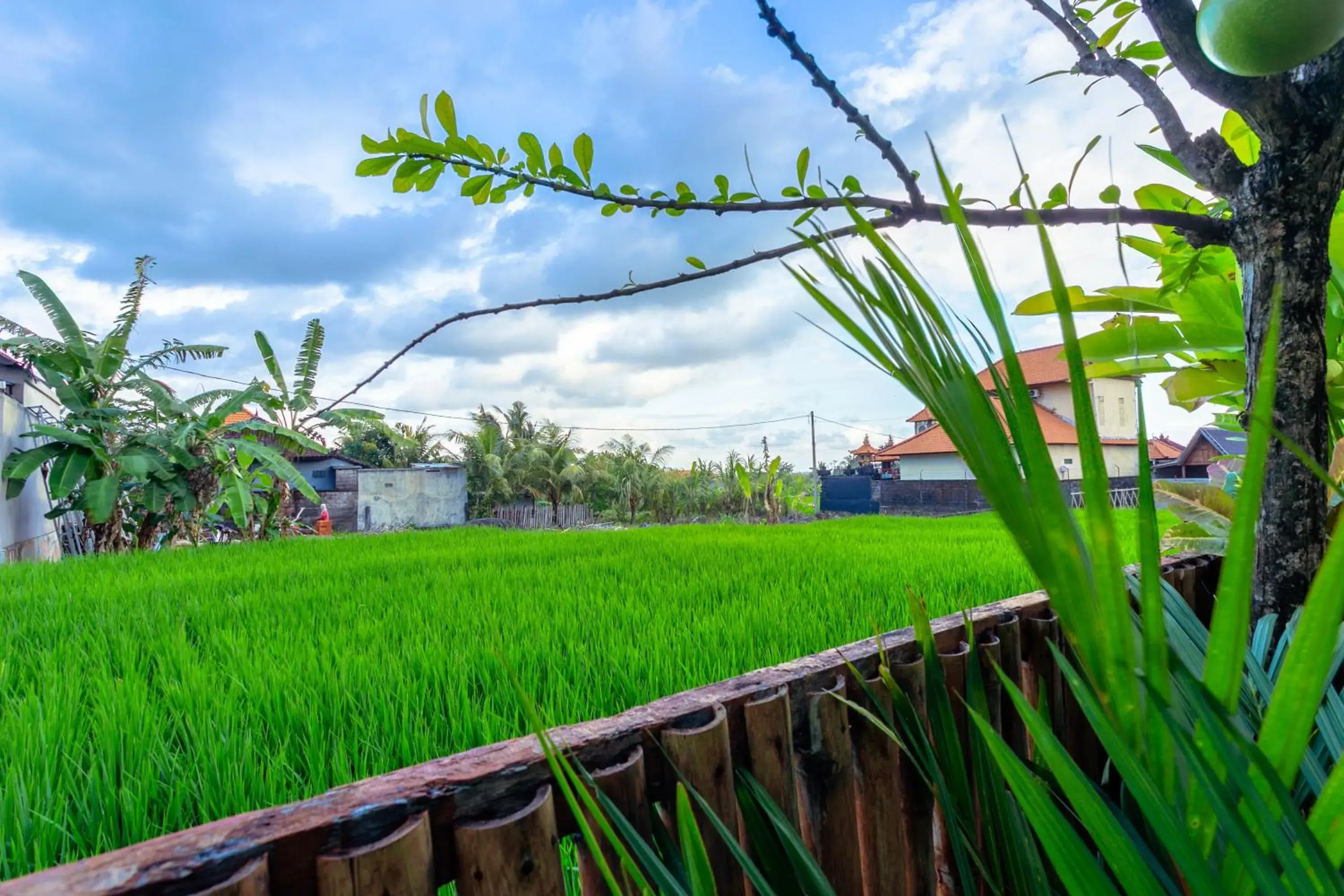 View (from property/room) in Kubu D'Carik Villa & Bungalow by ecommerceloka View (from property/room) in Kubu D'Carik Villa & Bungalow by ecommerceloka