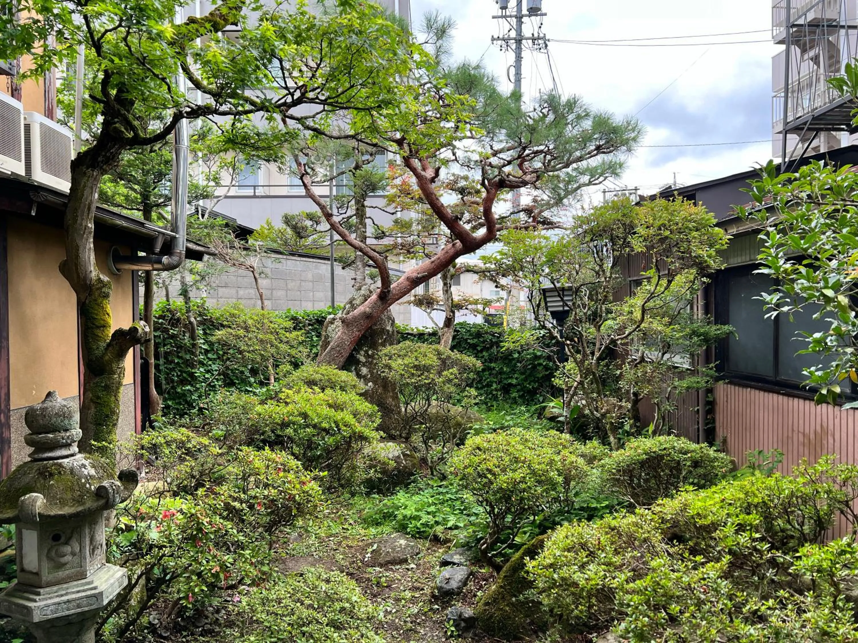 Garden in Hostel Murasaki