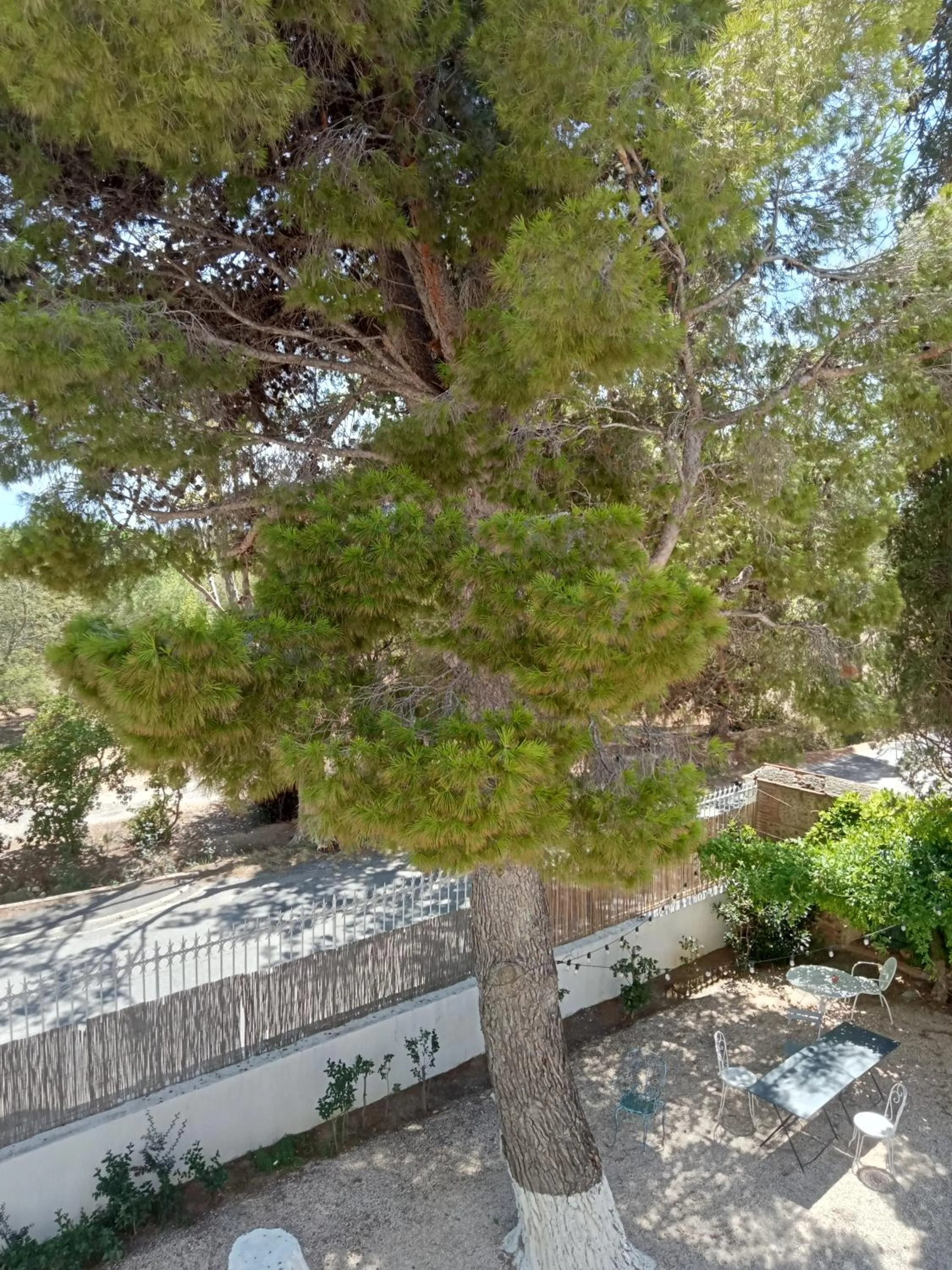 Garden in Le Mas Palegry Chambres d'hôtes Perpignan