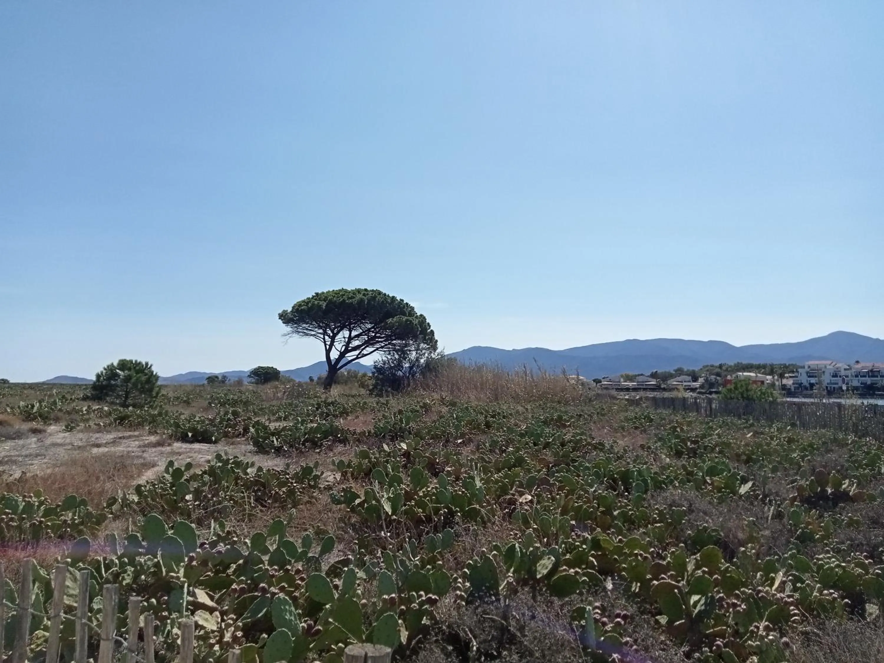 Nearby landmark in Le Mas Palegry Chambres d'hôtes Perpignan