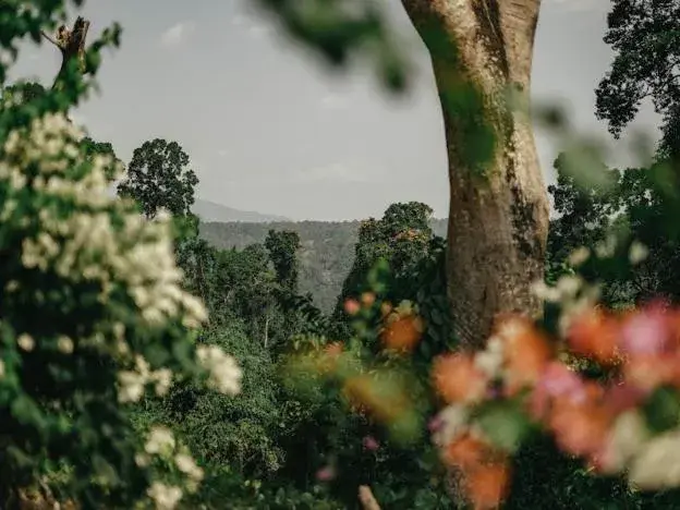 Mountain view in Emerald Manor Hotel Mountain view in Emerald Manor Hotel