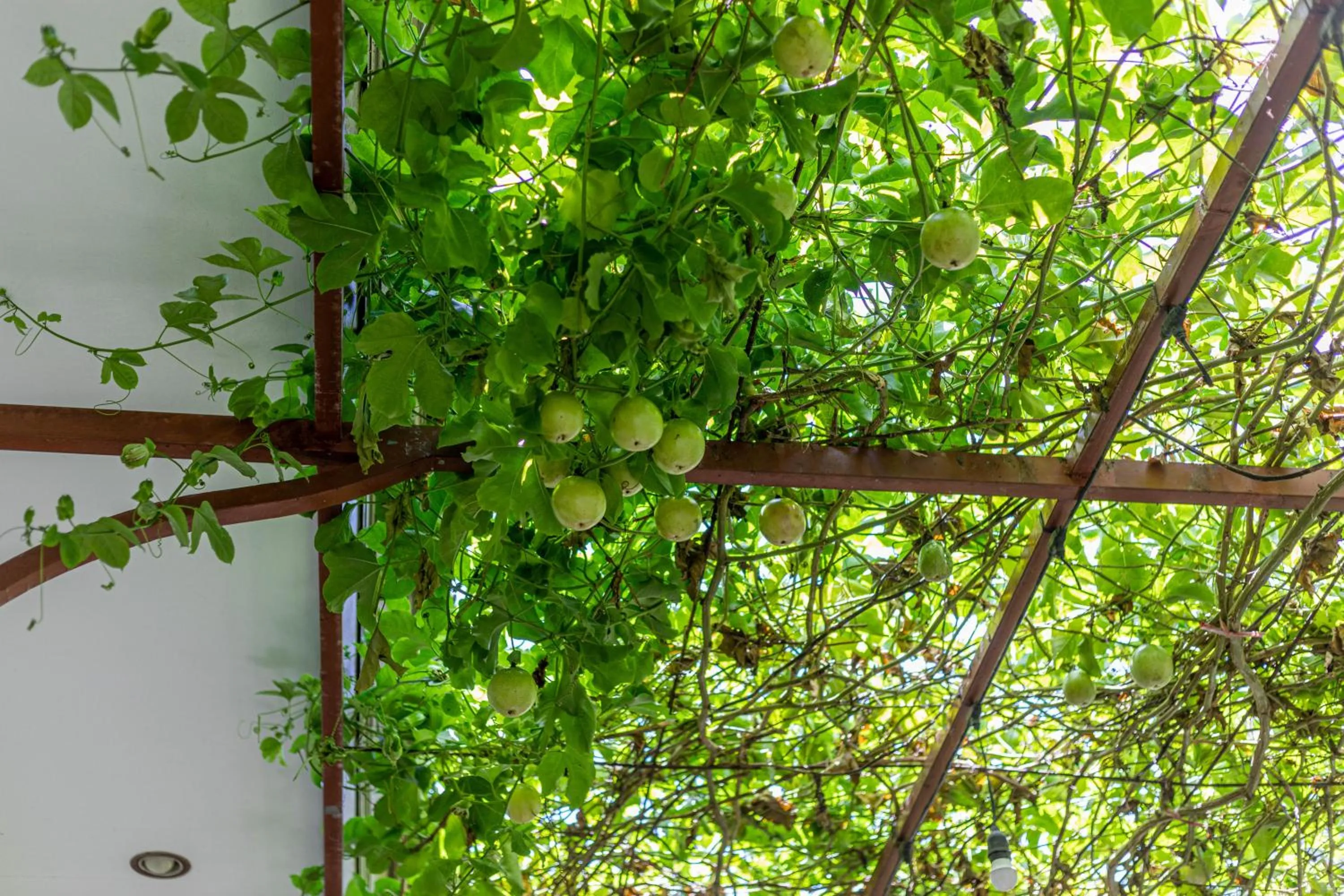 Area and facilities in Surf Retreat Villa Sari Bali