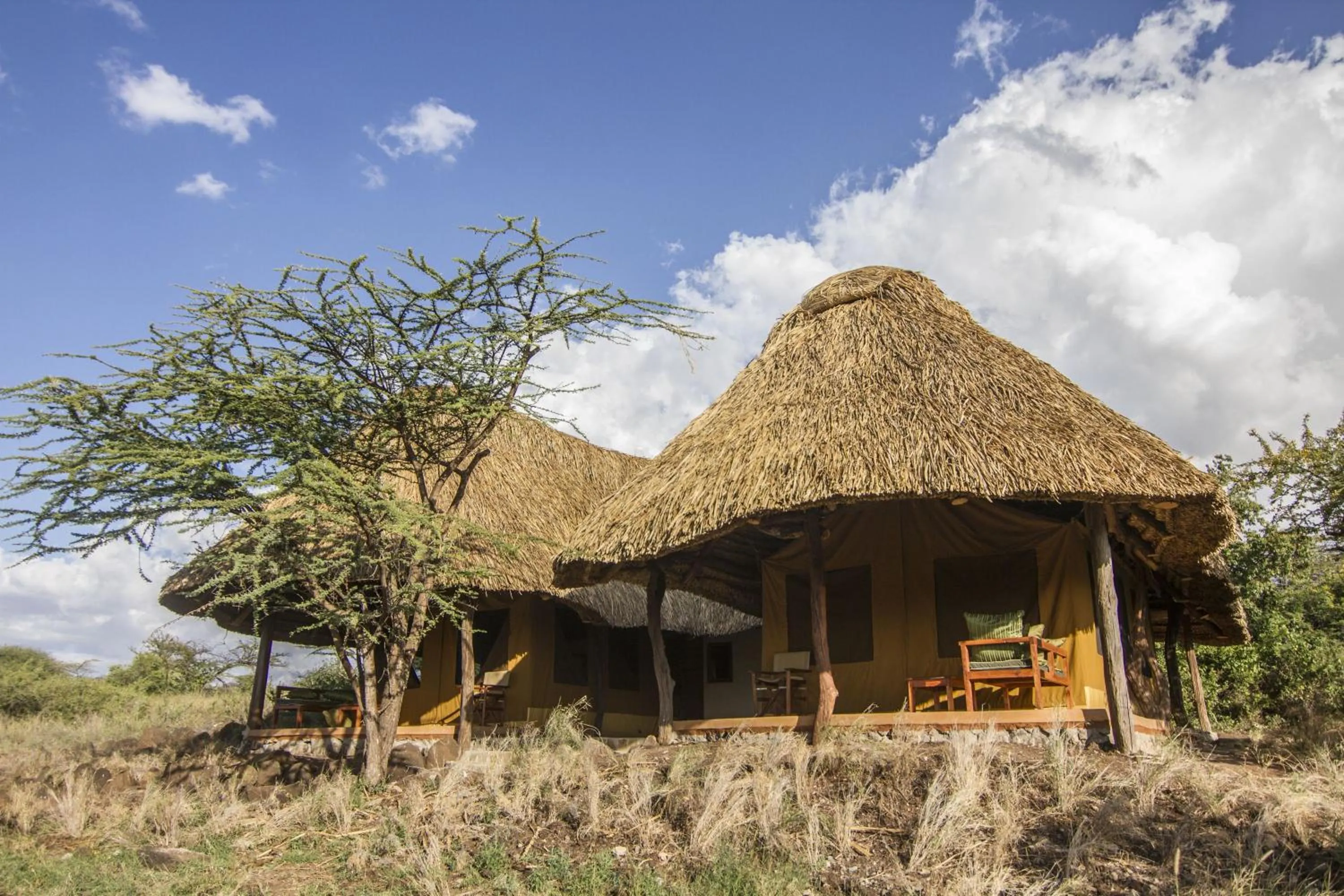 Property building in Elewana Lewa Safari Camp