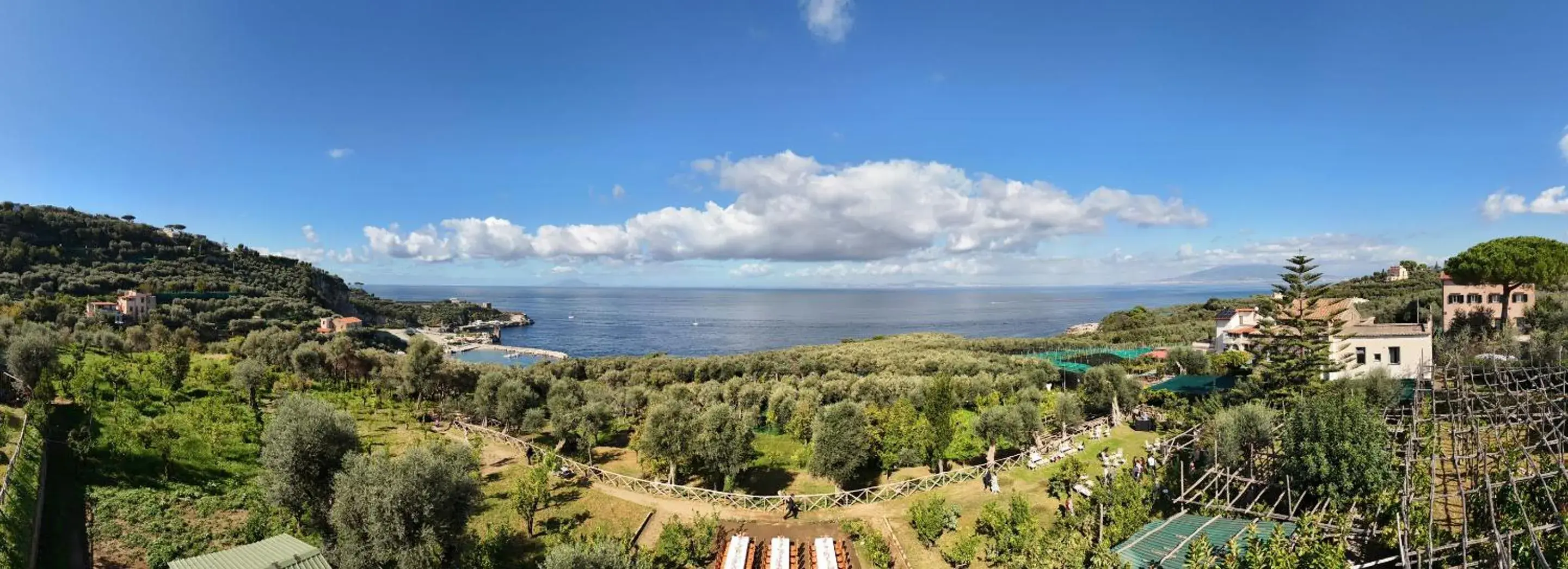 View (from property/room) in Villa Puolo - Sorrento View (from property/room) in Villa Puolo - Sorrento