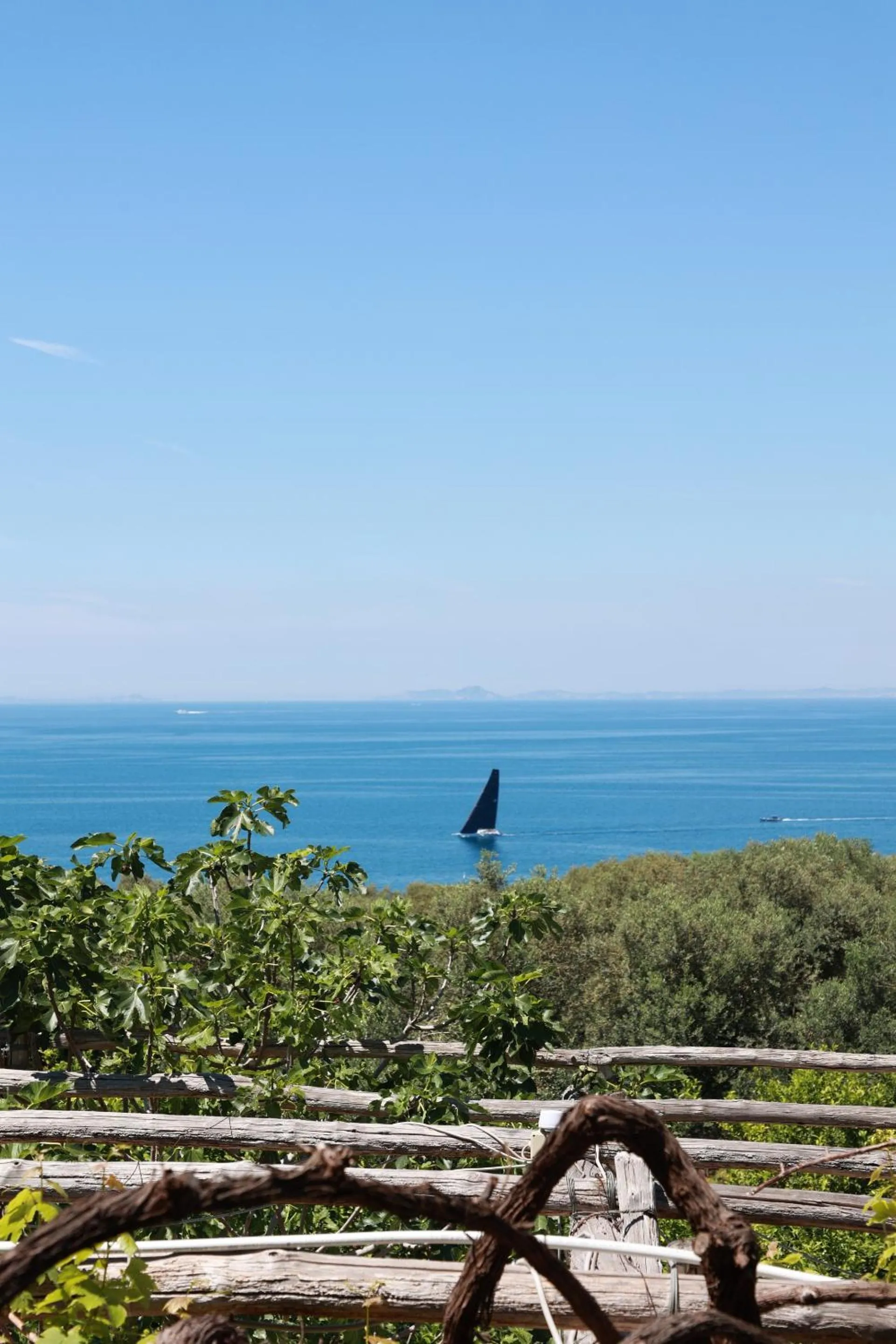 Other in Villa Puolo - Sorrento