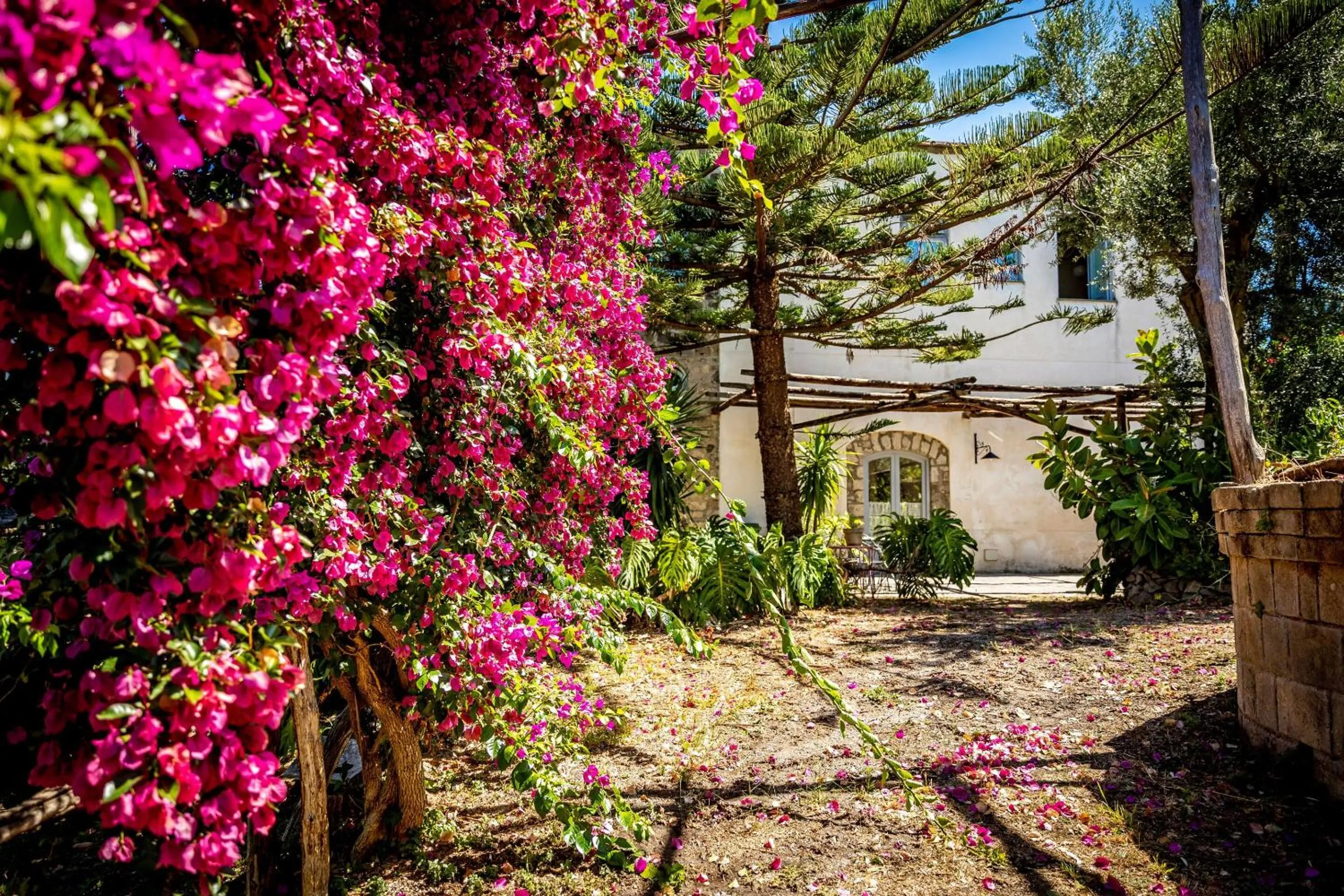 Other in Villa Puolo - Sorrento