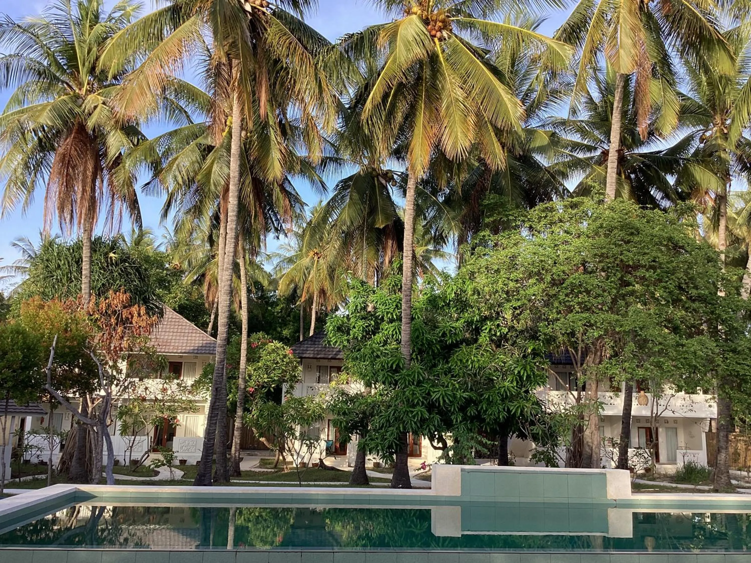 Juliantos by the sea