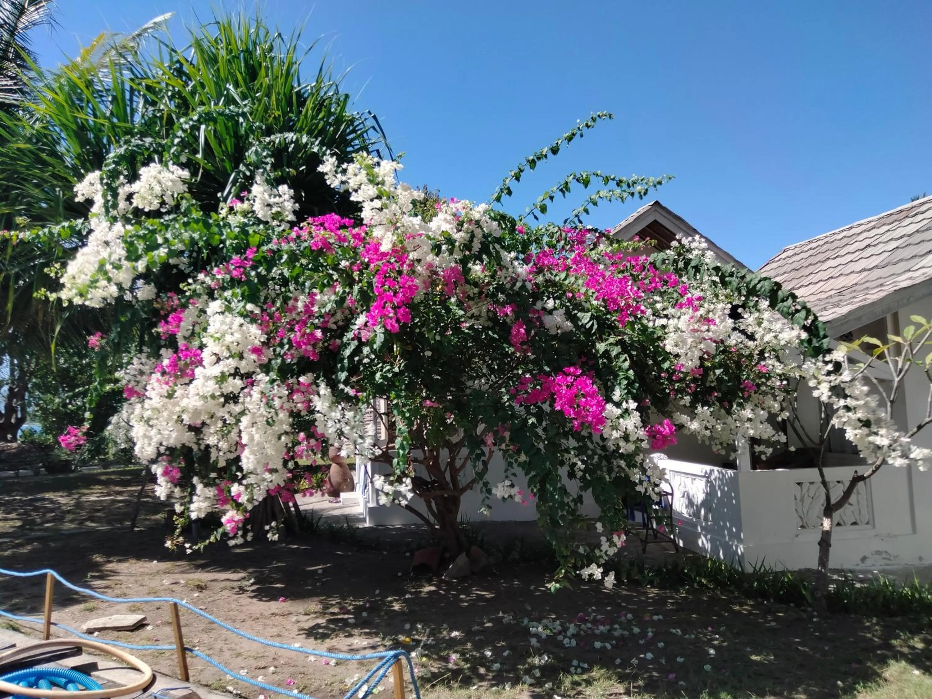 Juliantos by the sea