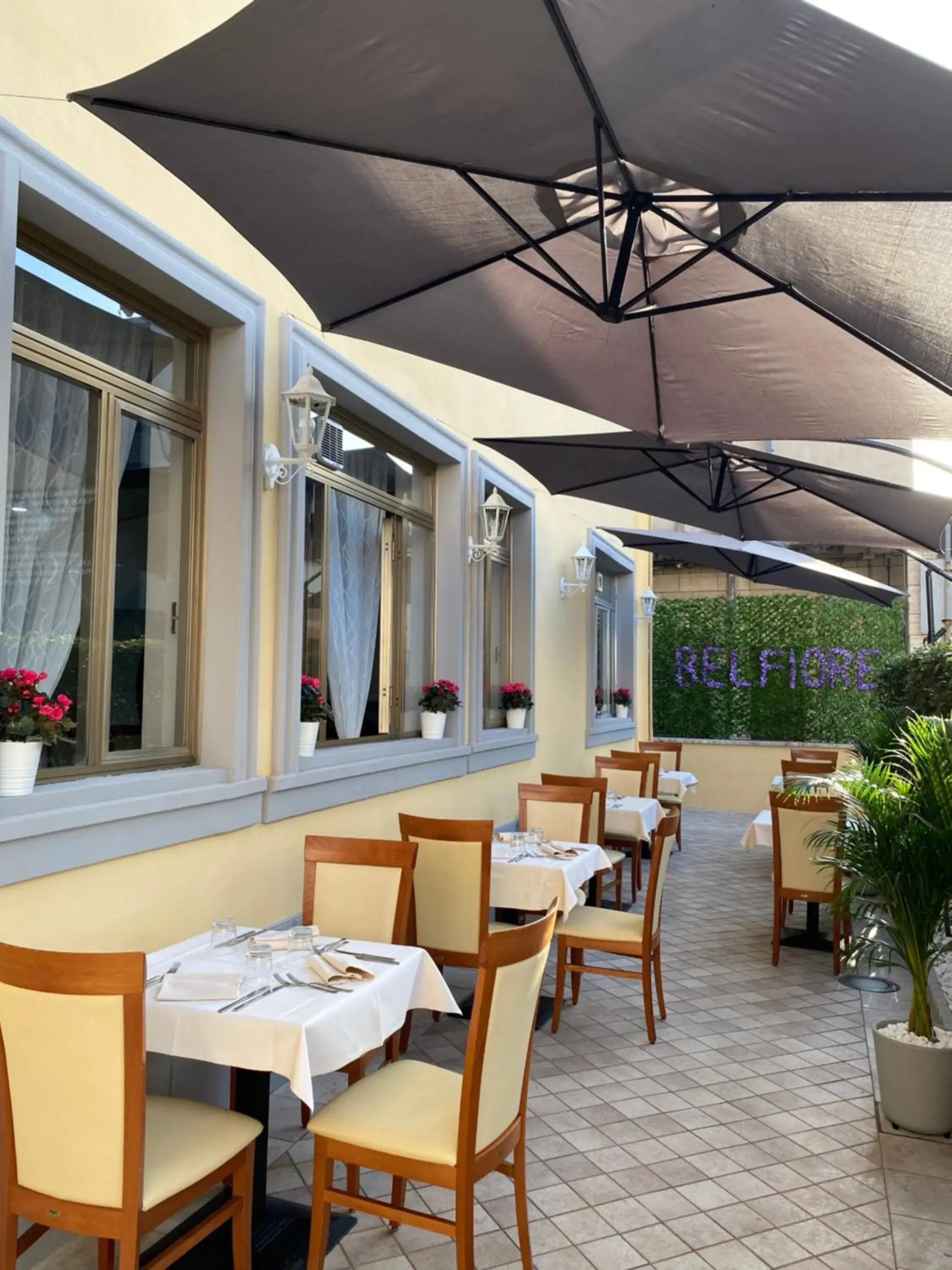 Restaurant/places to eat in Hotel La Pace Restaurant/places to eat in Hotel La Pace