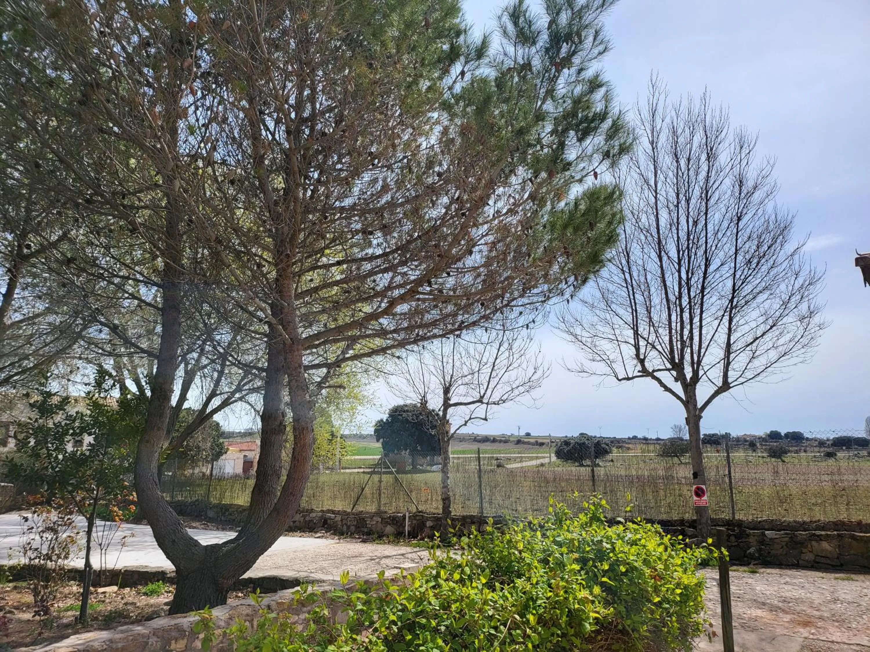 Natural landscape in Hotel rural LA CASONA DE TAMAYA