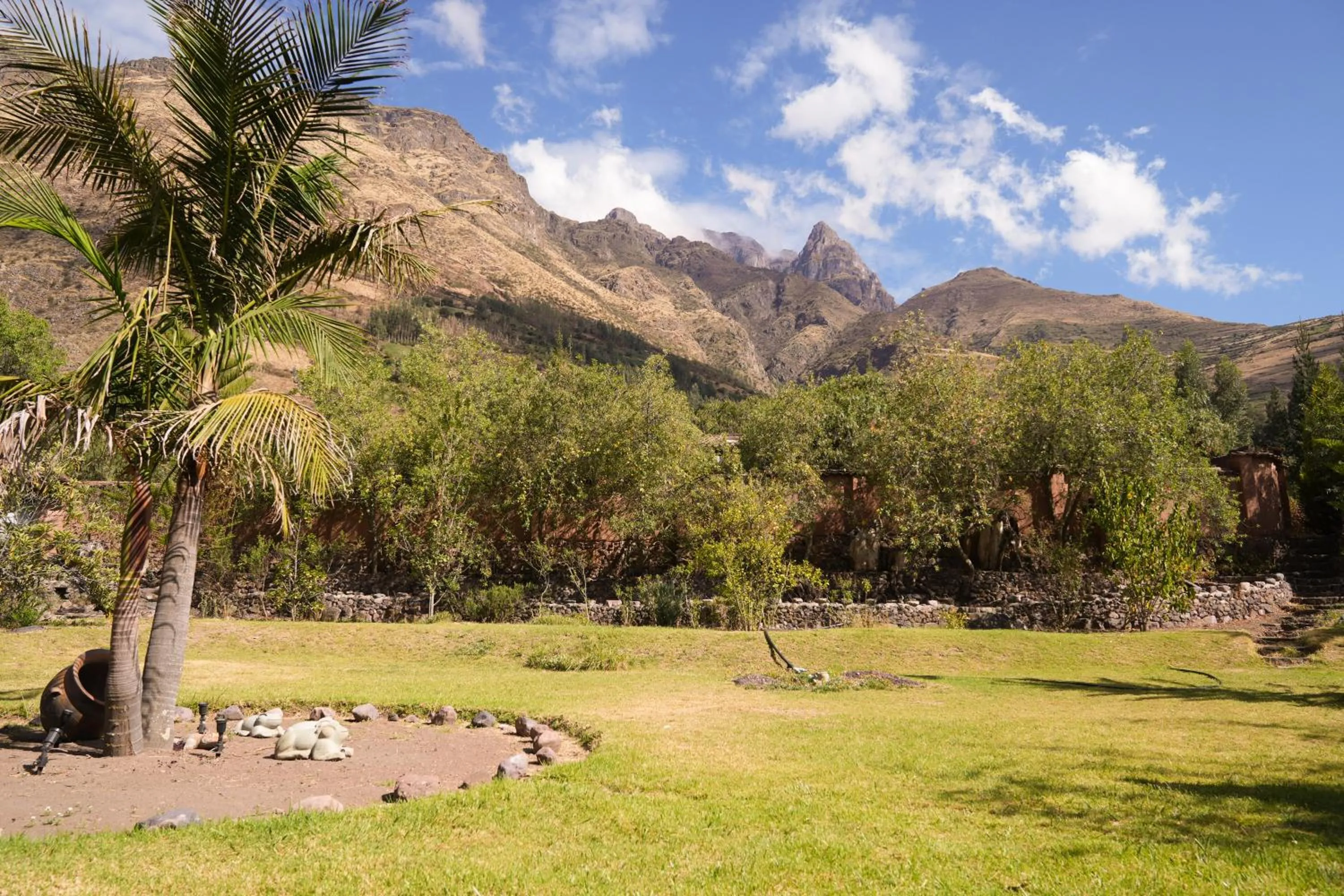 Garden in CASA RAIZ Handmade House Luxury Stay