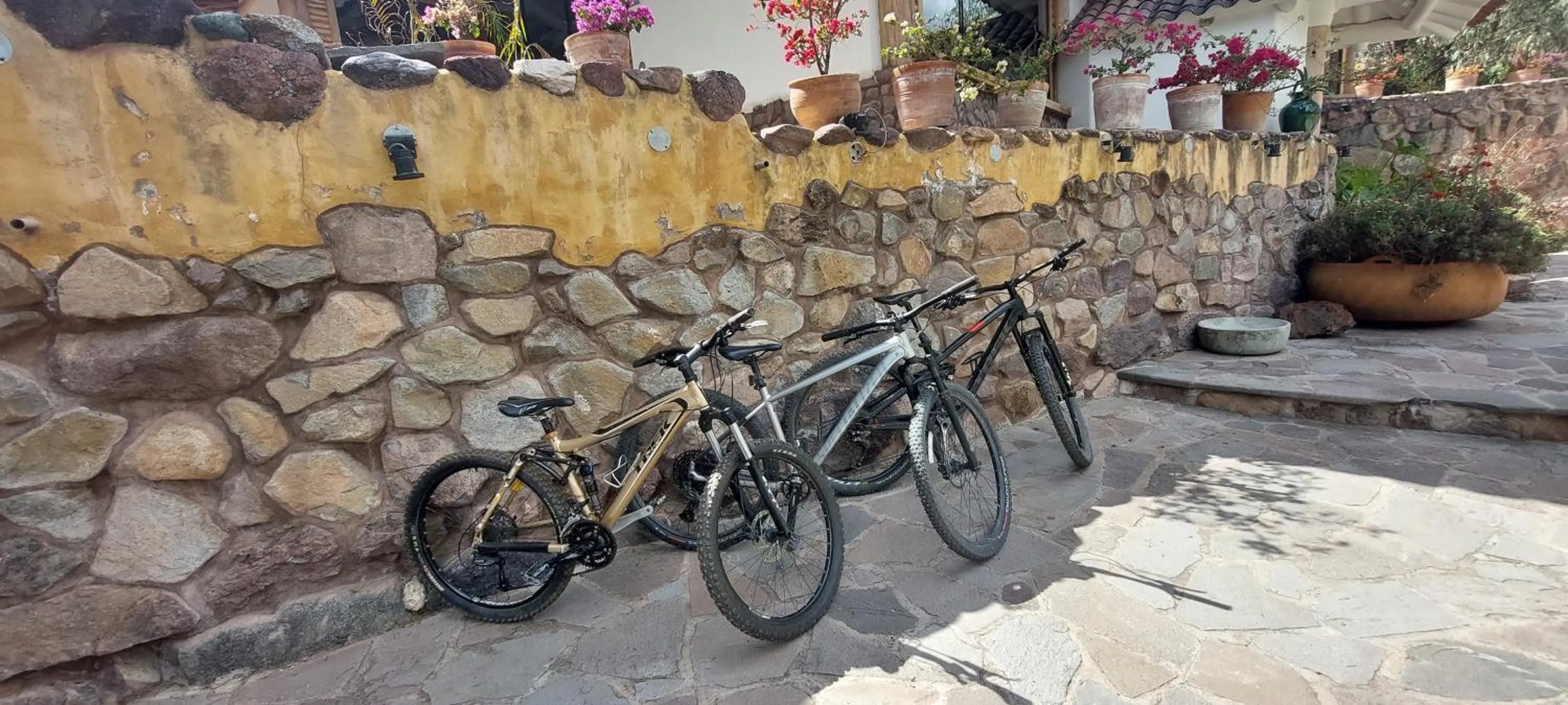Cycling in CASA RAIZ Handmade House Luxury Stay