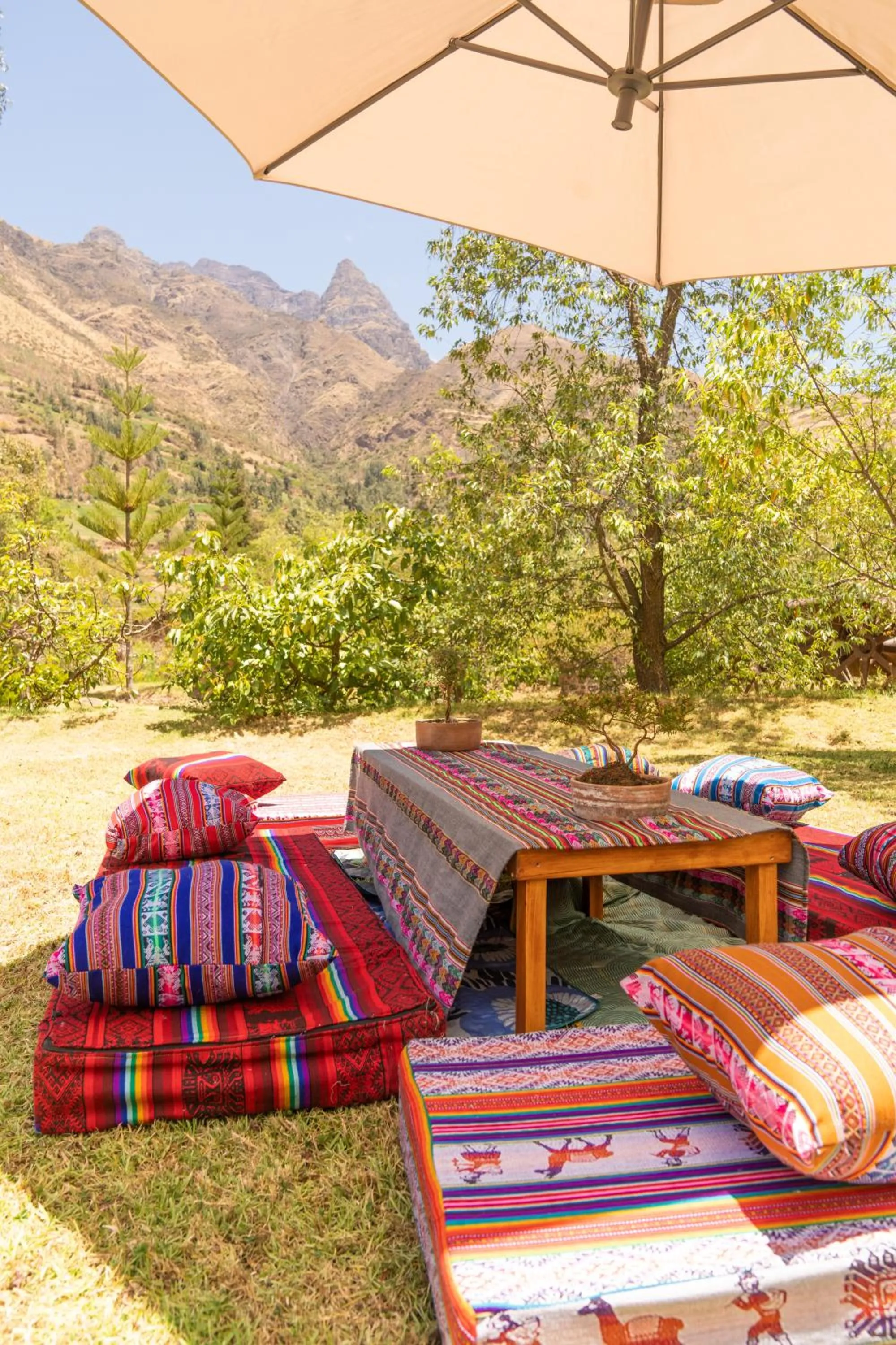 Patio in CASA RAIZ Handmade House Luxury Stay