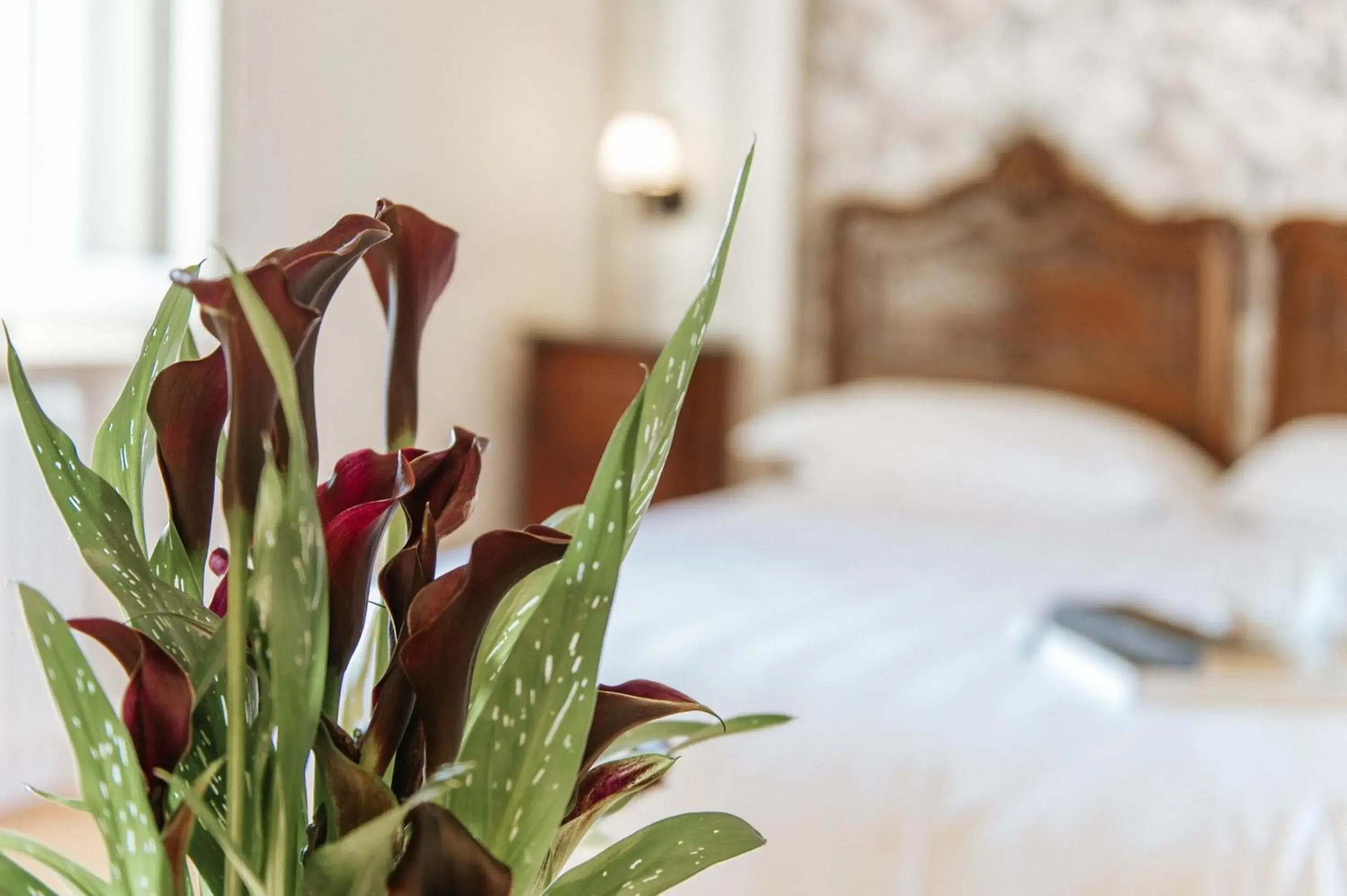 Decorative detail, Bed in Hotel Aganoor