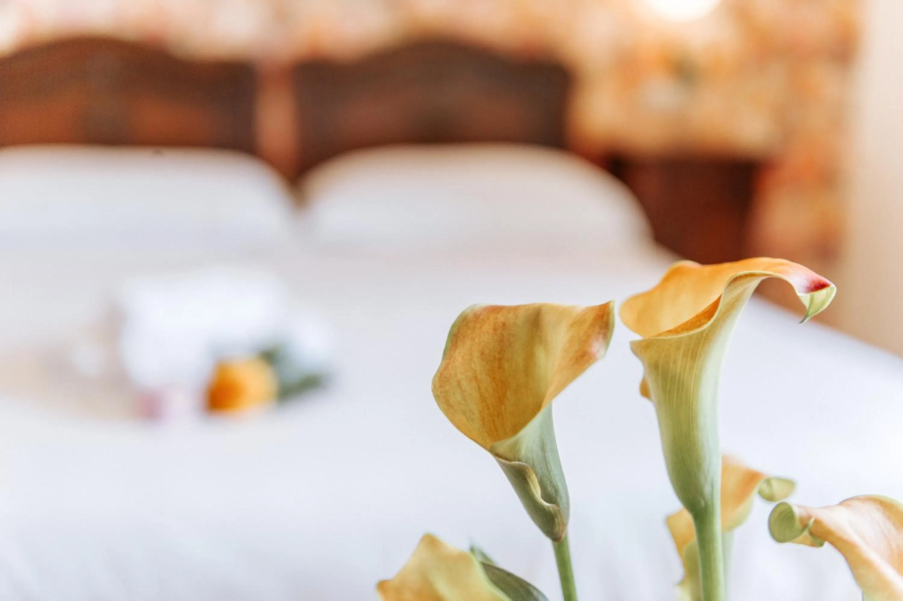 Decorative detail, Bed in Hotel Aganoor