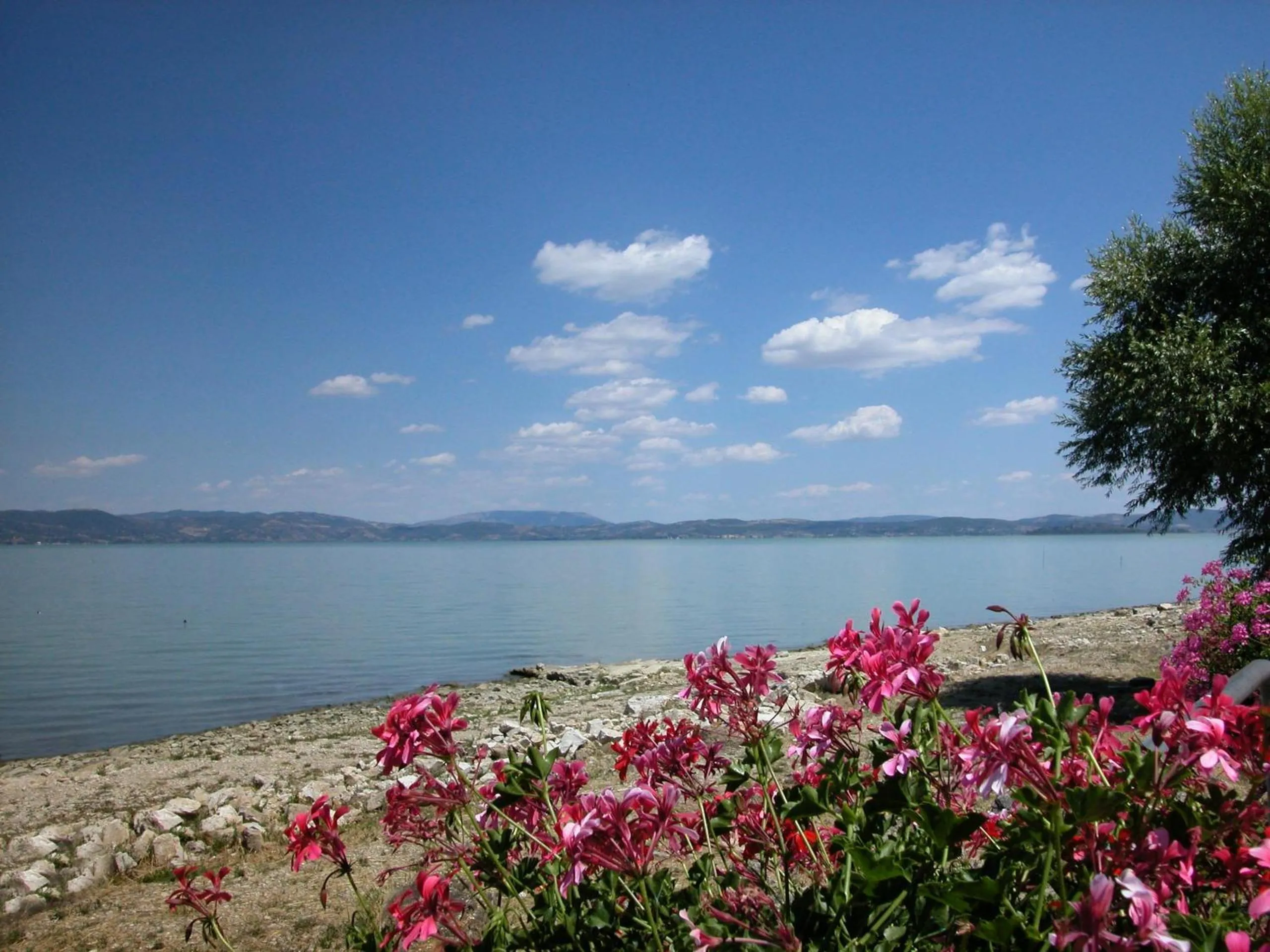 Beach in Hotel Aganoor