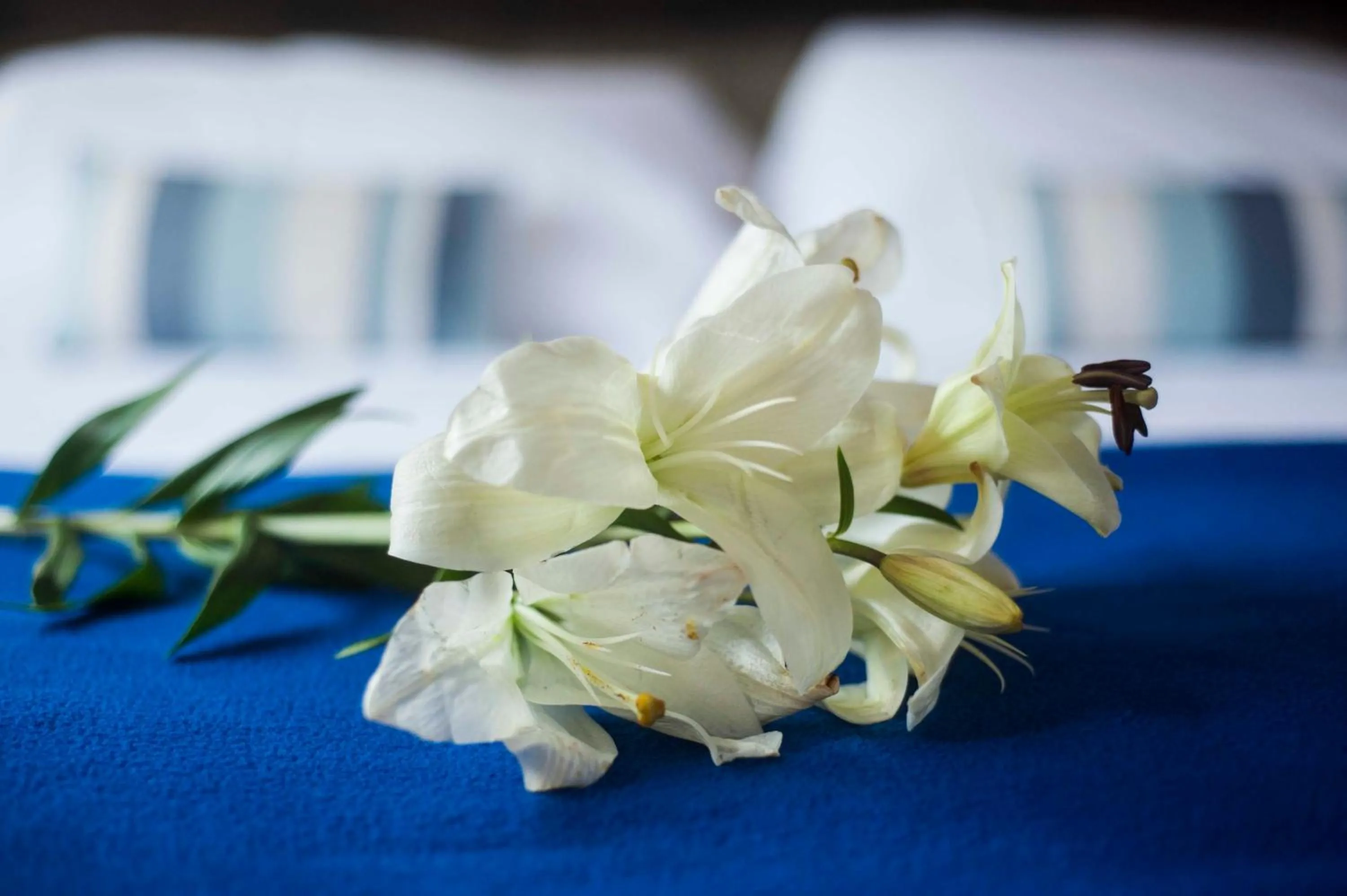 Decorative detail, Bed in Hotel Las Chirimoyas