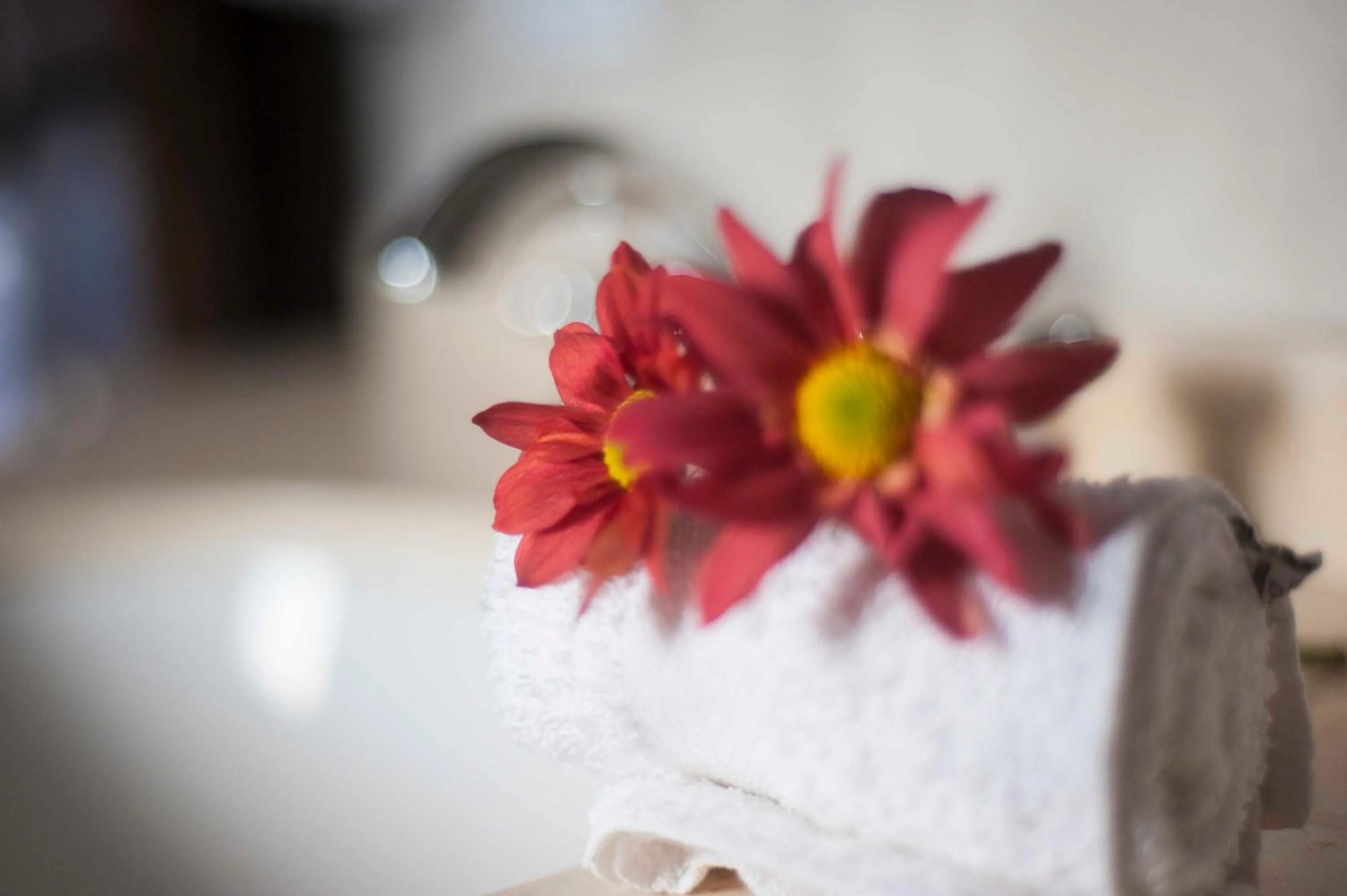 Decorative detail in Hotel Las Chirimoyas