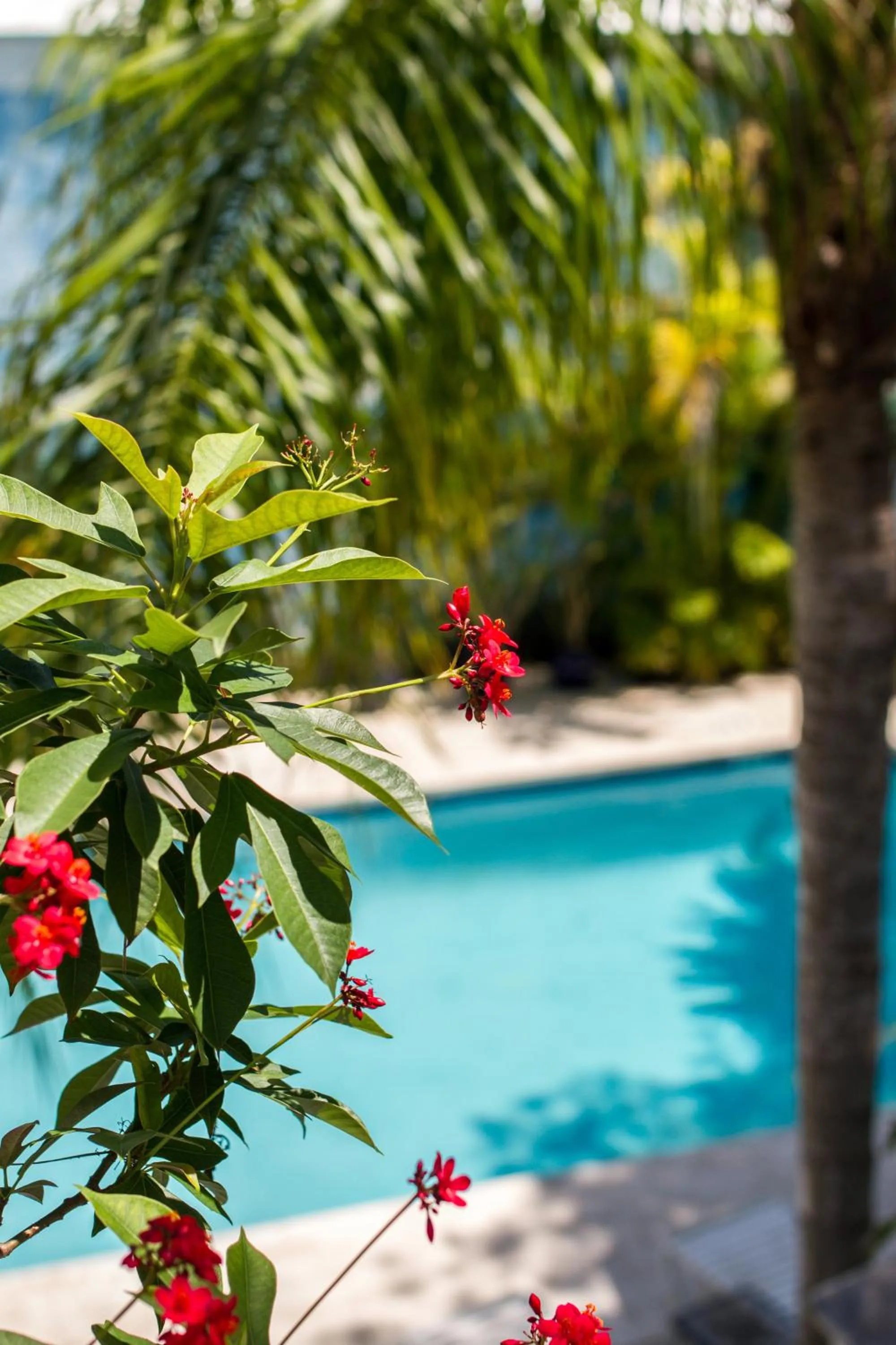 Facade/entrance in Rose Lane Villas