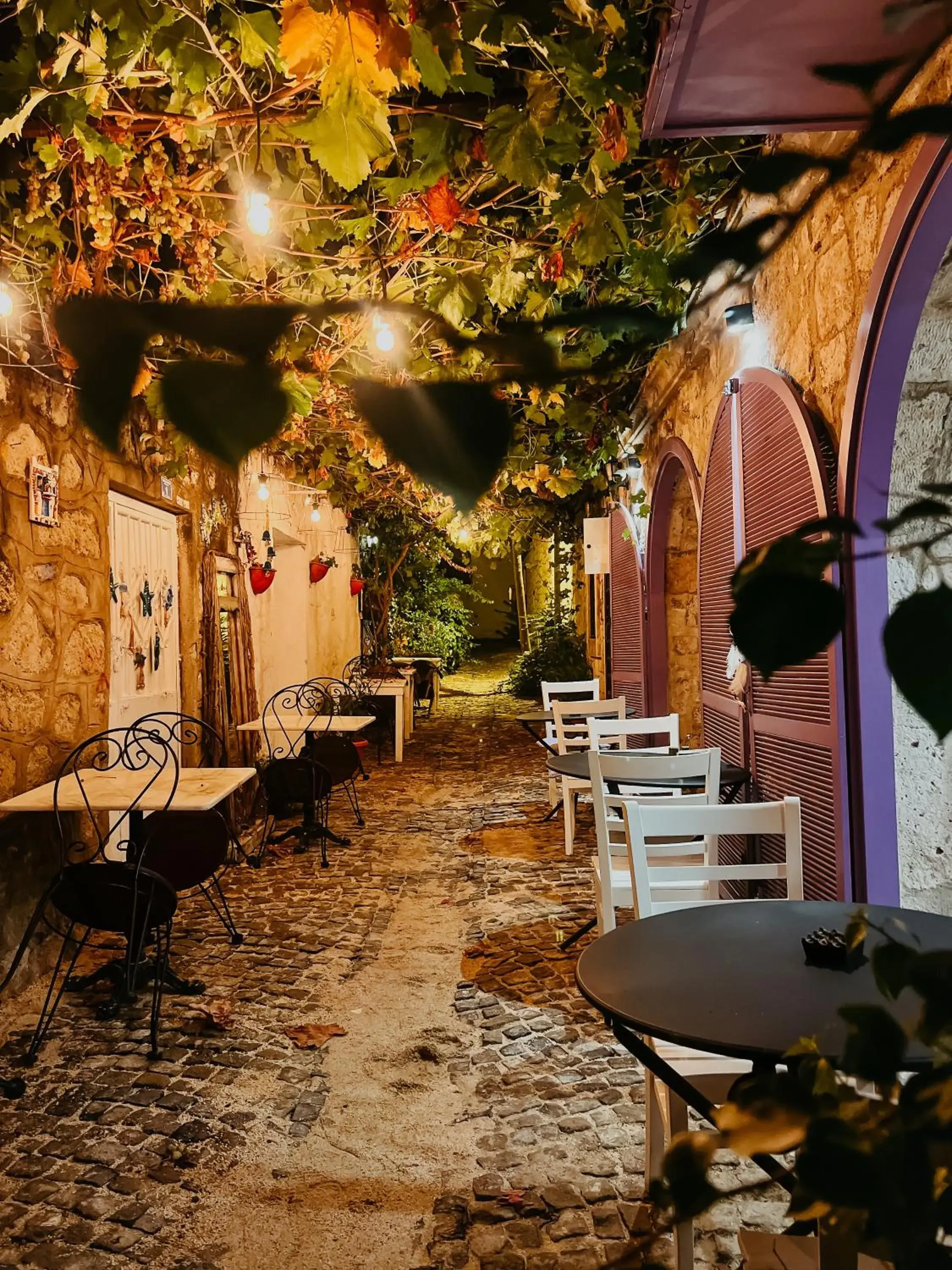 Selavi Hotel Selavi Hotel