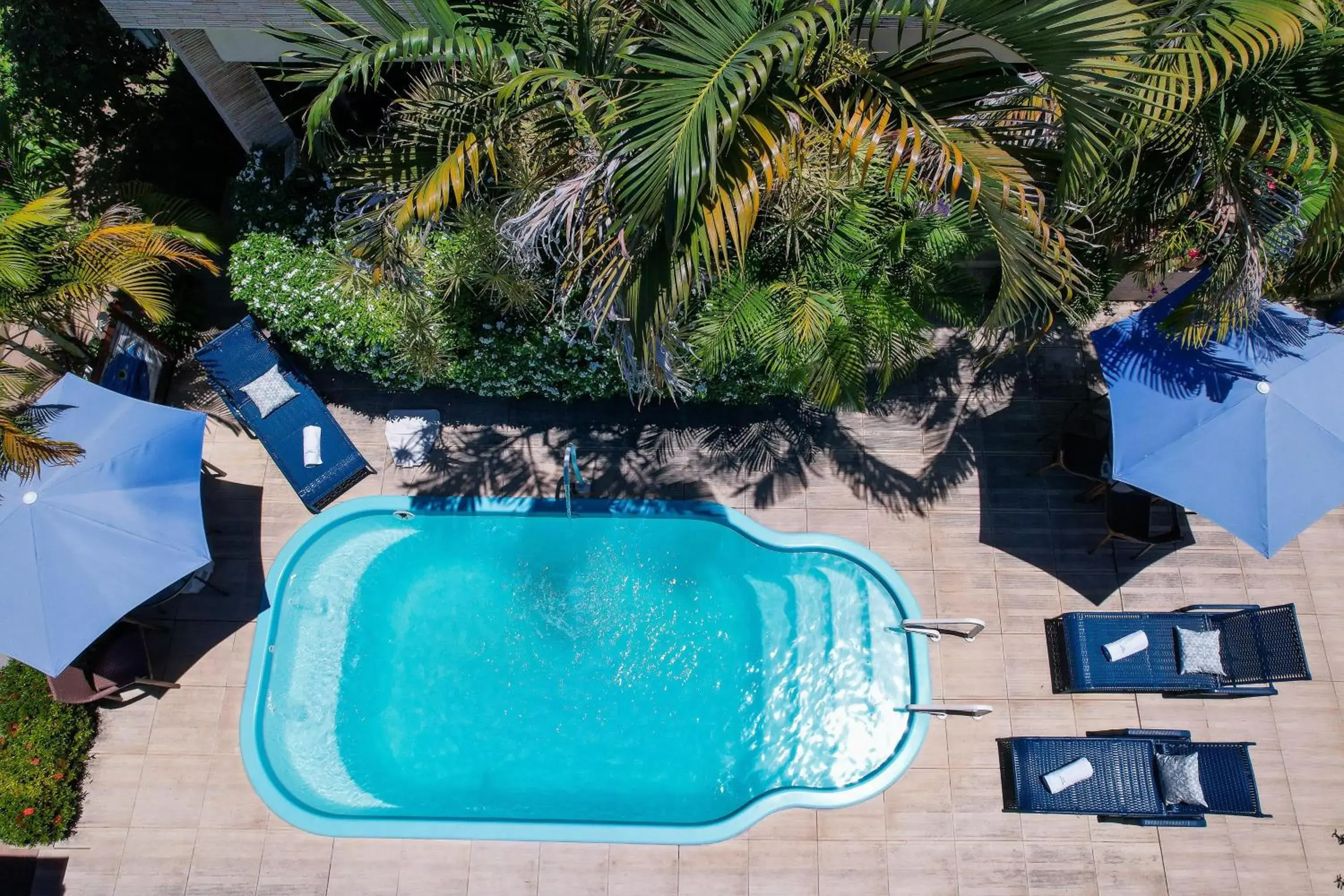 Pool view in Pousada Som dos Pássaros Pool view in Pousada Som dos Pássaros