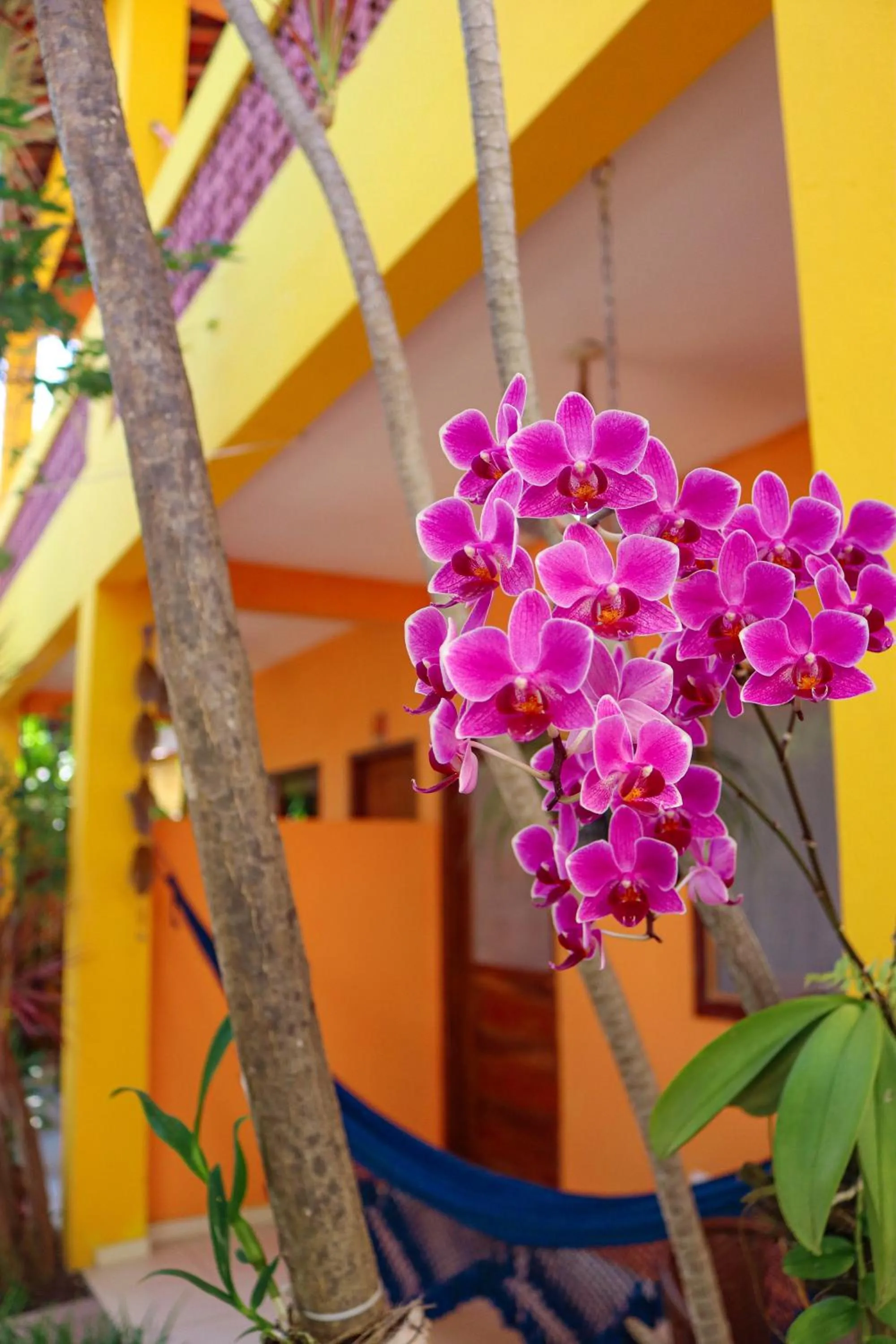 Garden in Pousada Som dos Pássaros