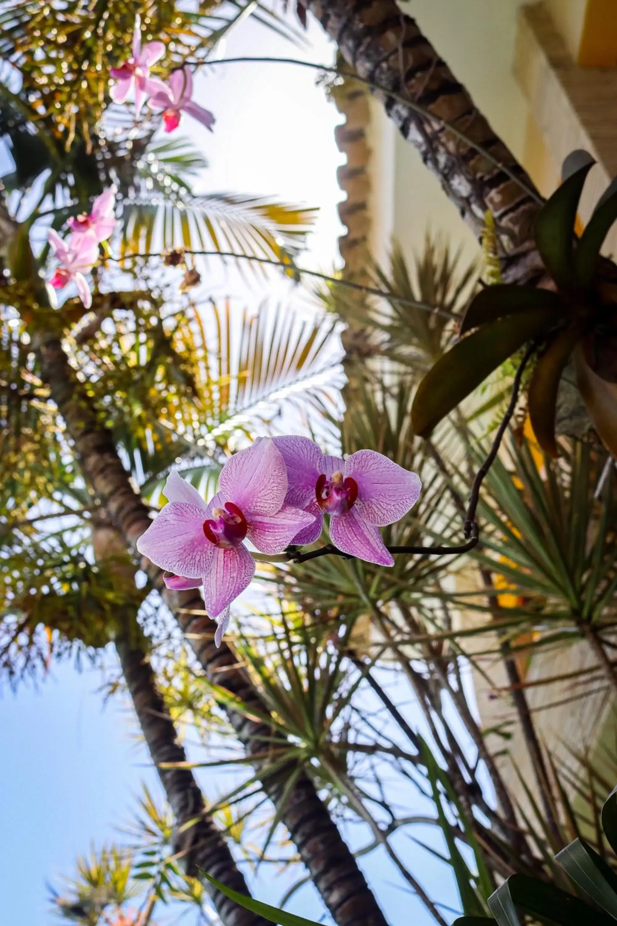 Property building in Pousada Som dos Pássaros Property building in Pousada Som dos Pássaros