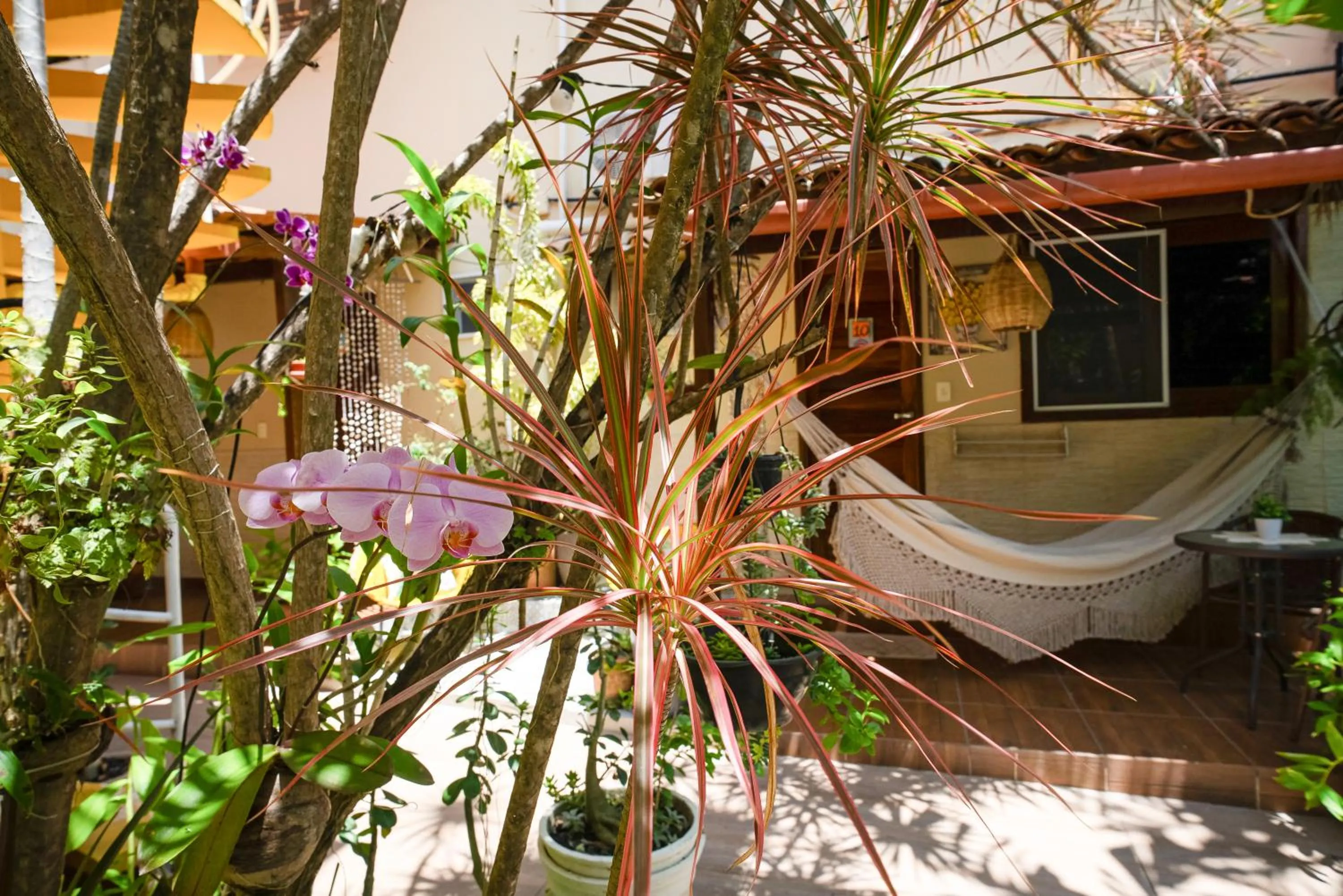 Patio in Pousada Som dos Pássaros