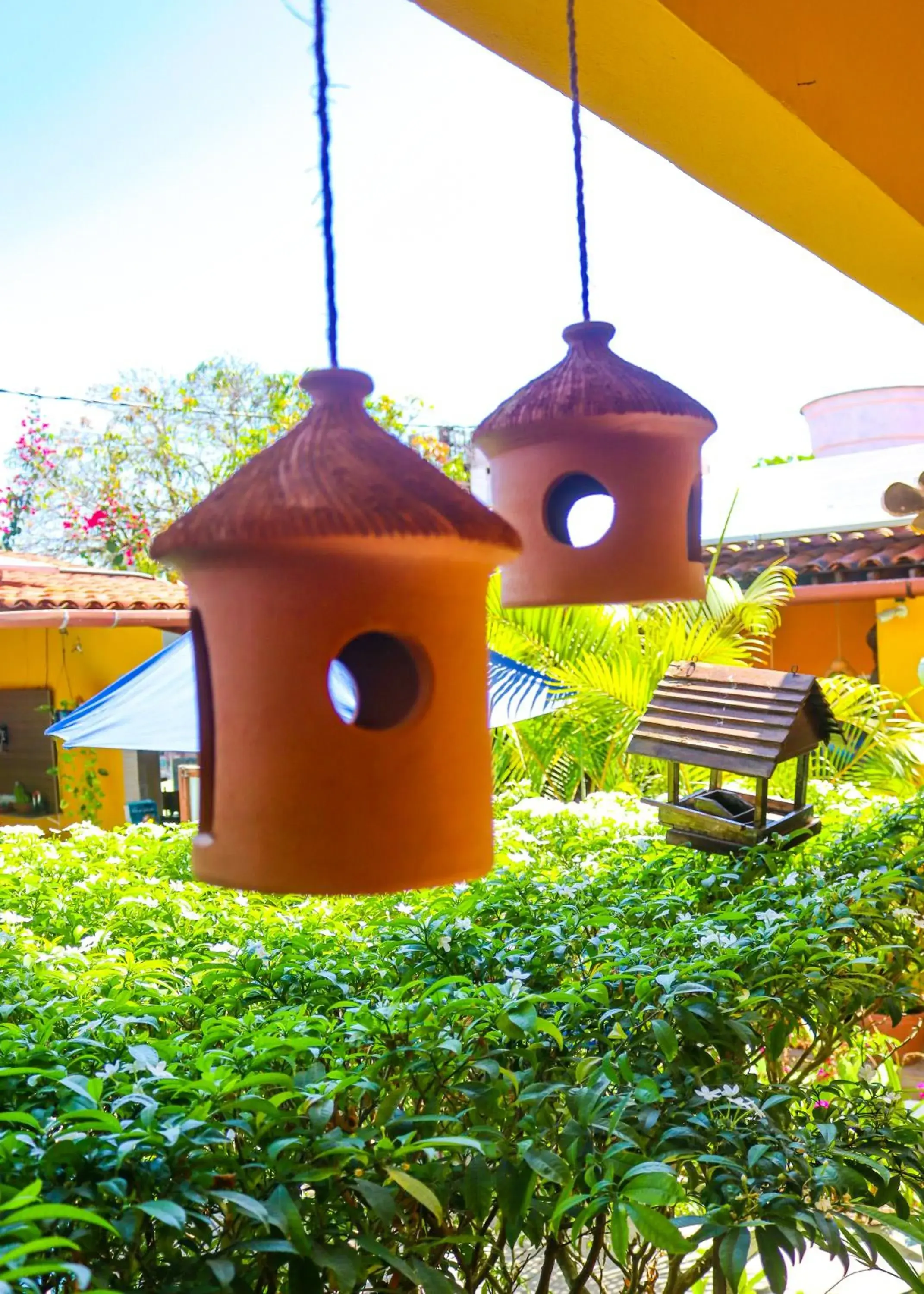 Garden view in Pousada Som dos Pássaros Garden view in Pousada Som dos Pássaros