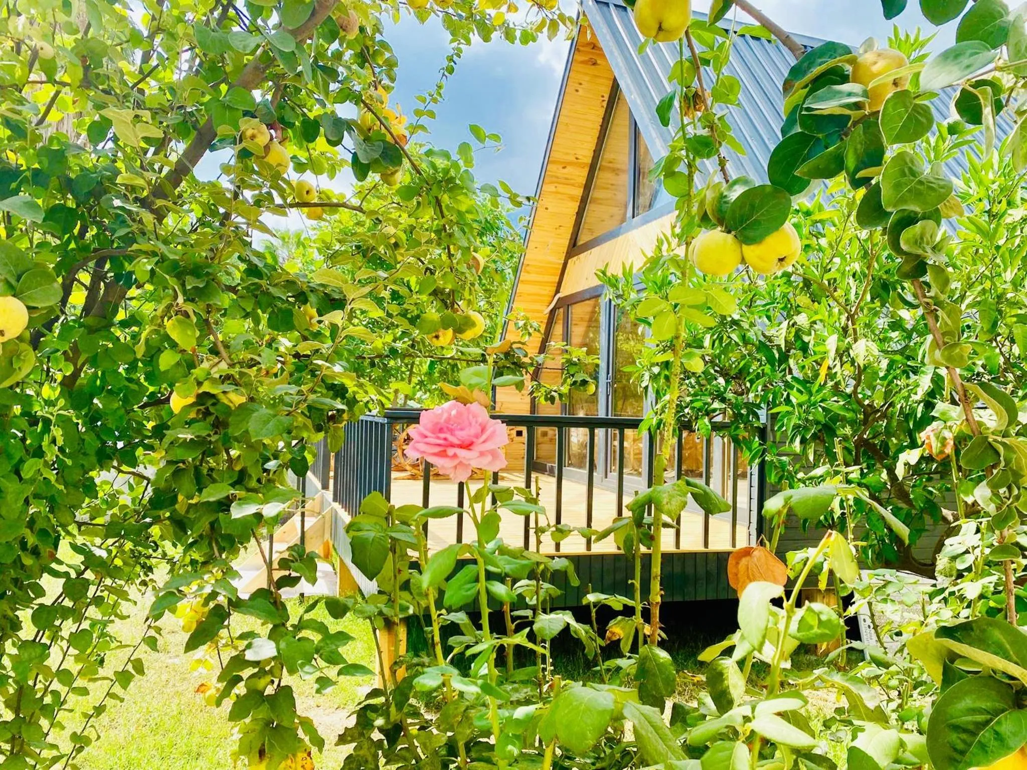 Garden Bungalows and Suites