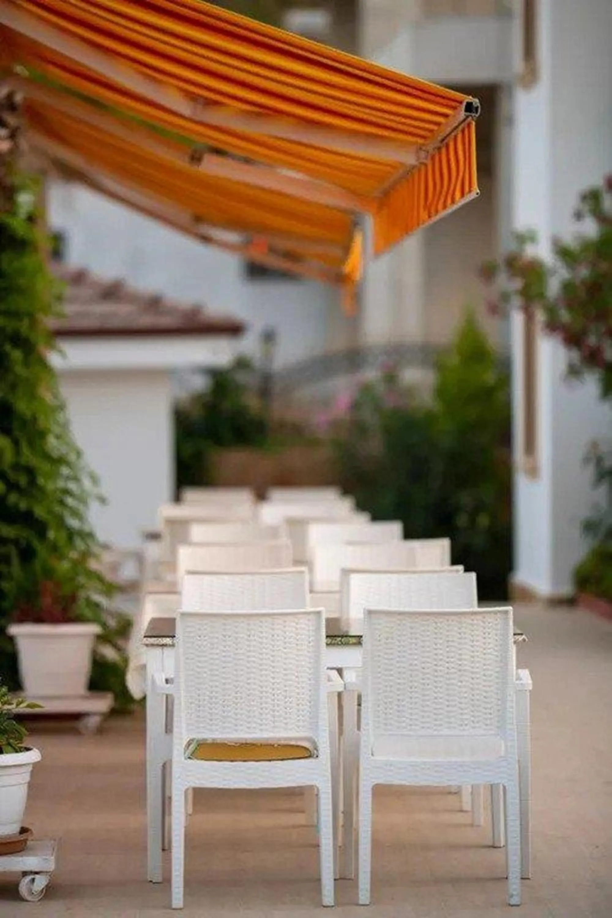 Restaurant/places to eat in Fethiye Park Hotel